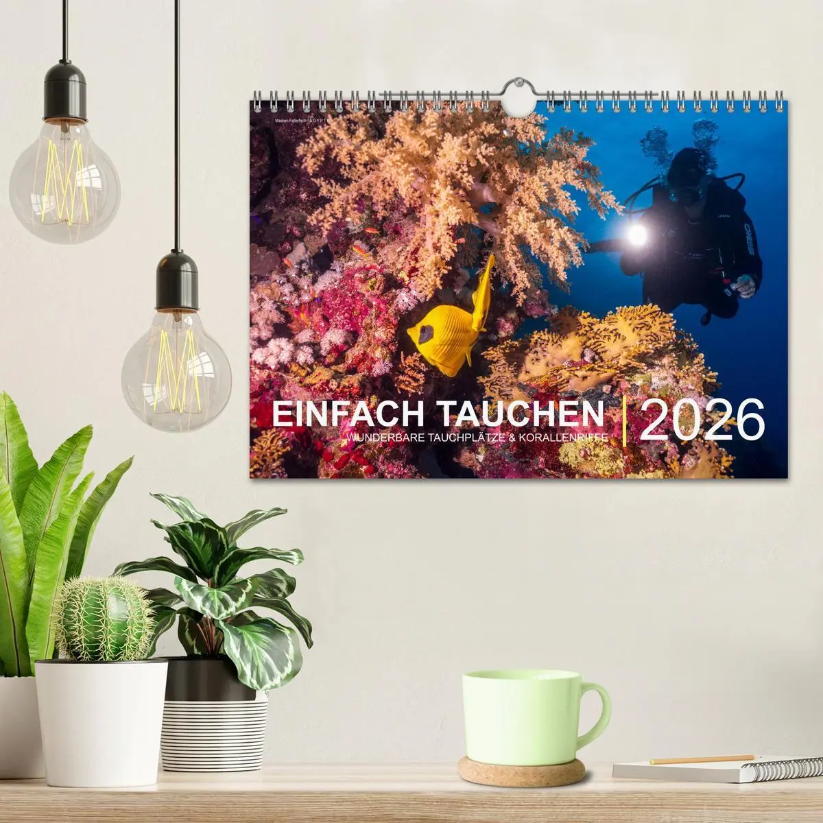 Bild: 9783457669501 | Einfach Tauchen - Wunderbare Tauchplätze und Korallenriffe...