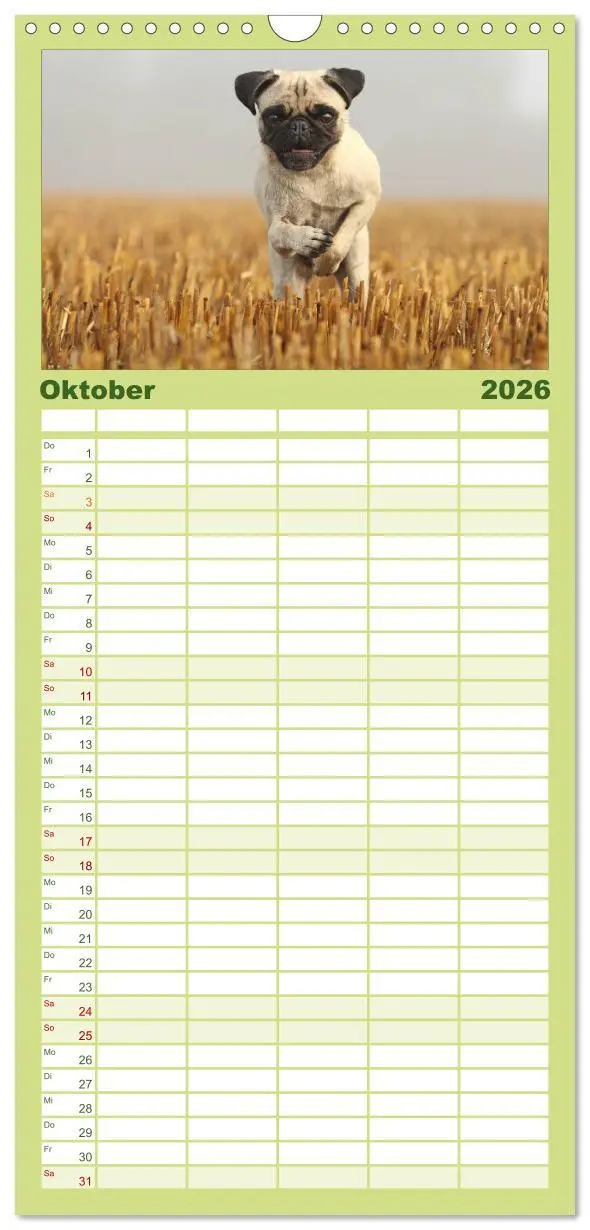 Bild: 9783516519501 | Familienplaner 2026 - Der MOPS-Kalender mit 5 Spalten...