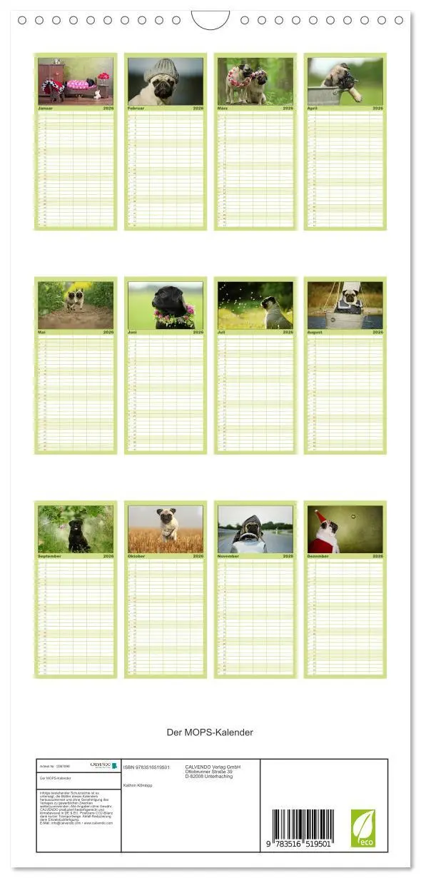 Bild: 9783516519501 | Familienplaner 2026 - Der MOPS-Kalender mit 5 Spalten...