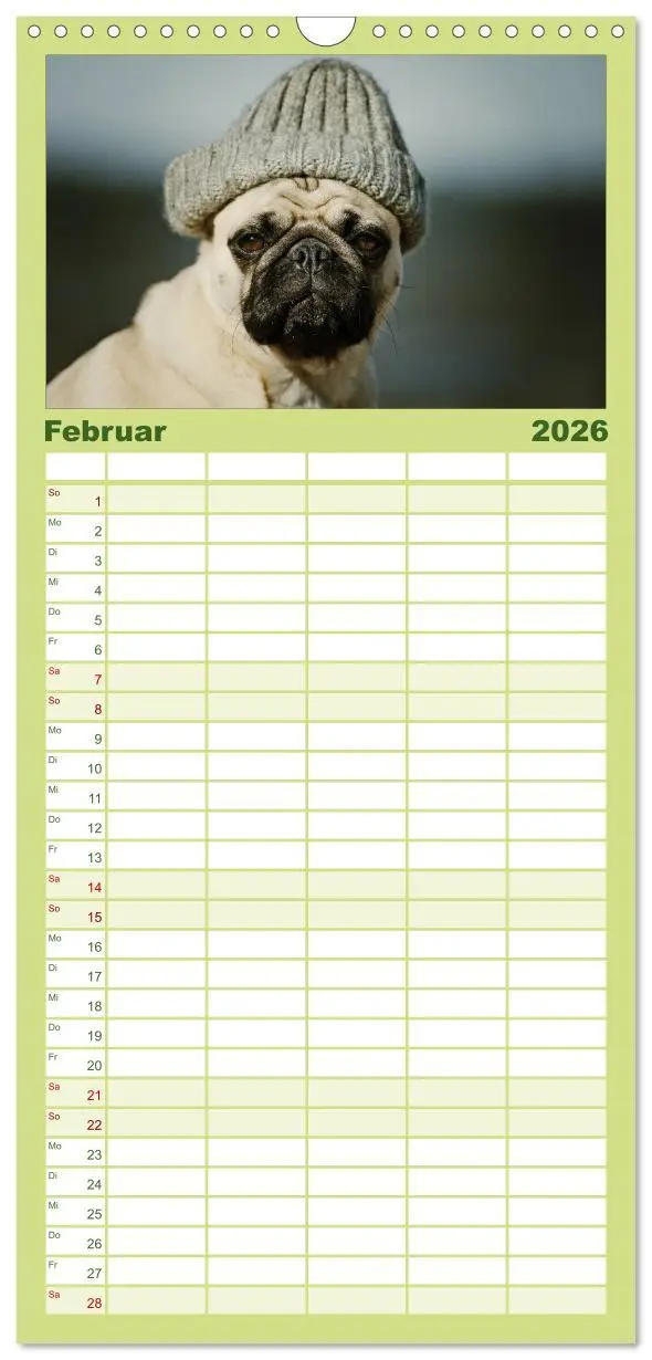 Bild: 9783516519501 | Familienplaner 2026 - Der MOPS-Kalender mit 5 Spalten...