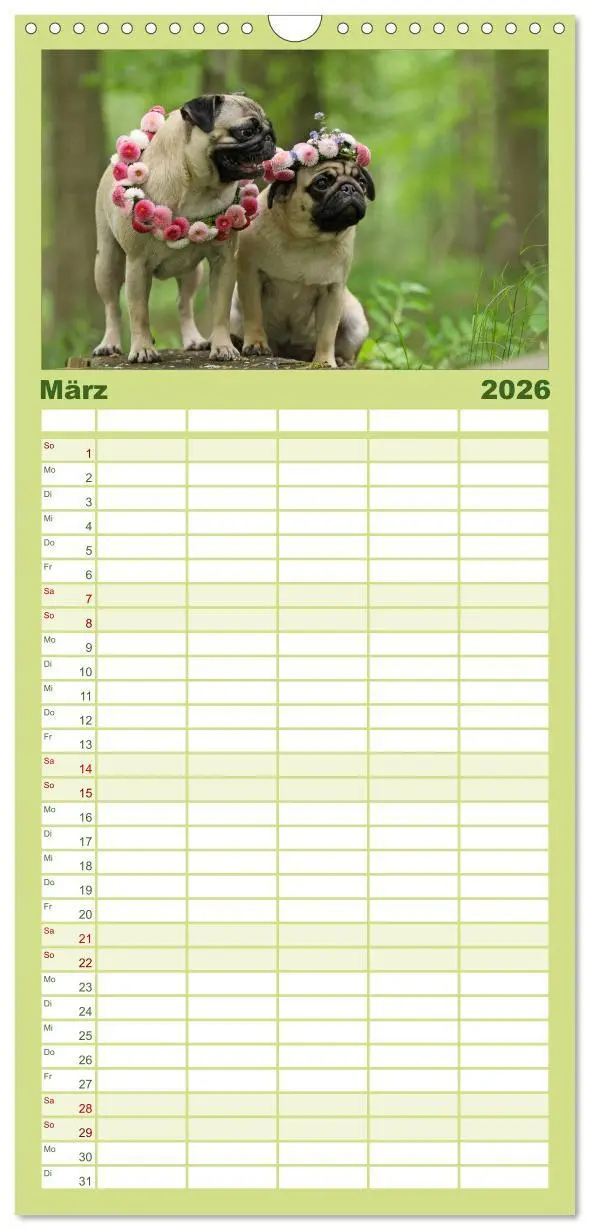 Bild: 9783516519501 | Familienplaner 2026 - Der MOPS-Kalender mit 5 Spalten...