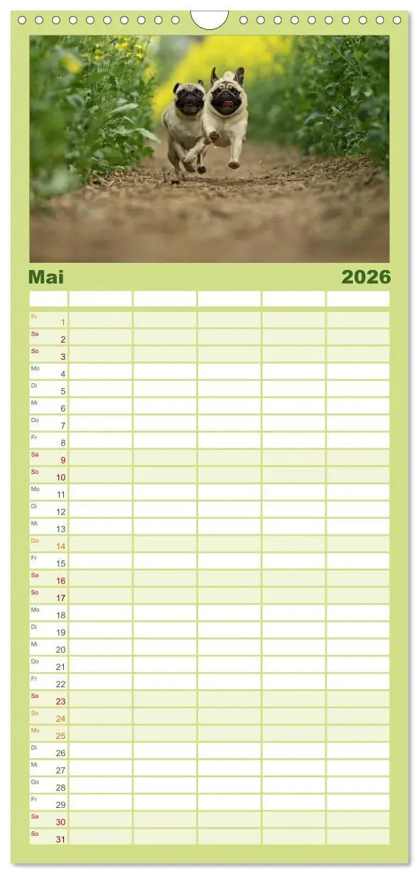 Bild: 9783516519501 | Familienplaner 2026 - Der MOPS-Kalender mit 5 Spalten...