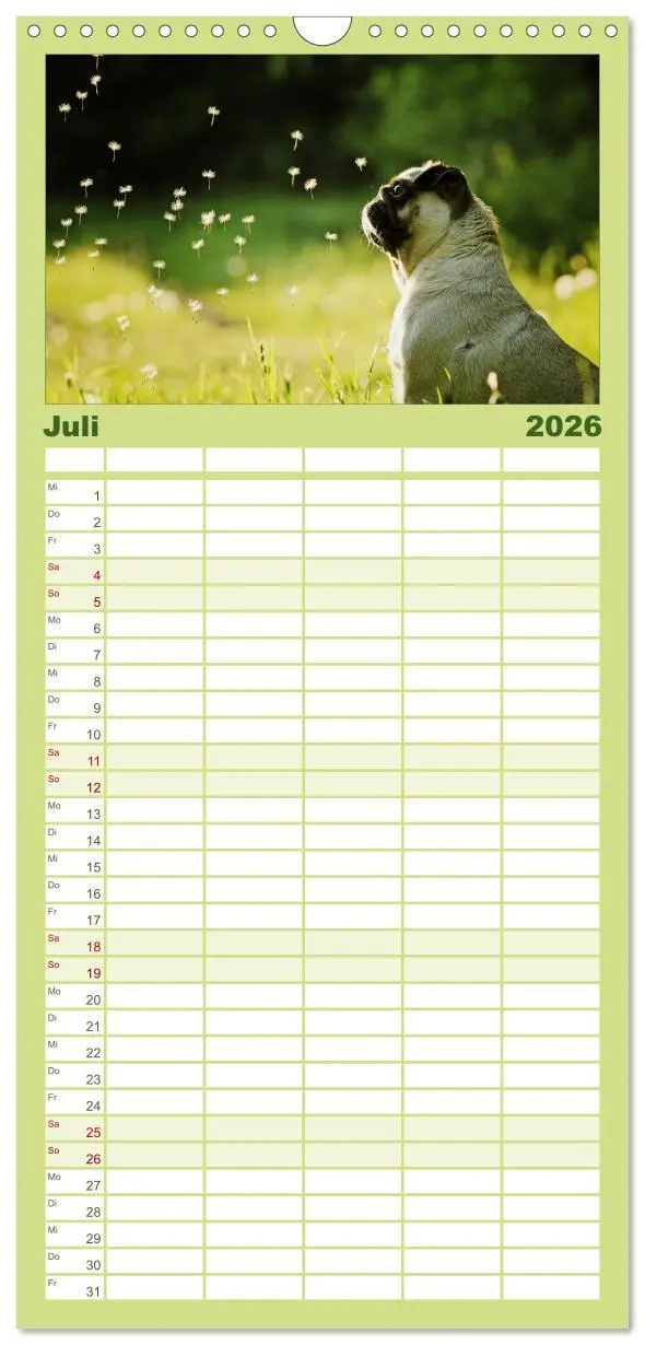 Bild: 9783516519501 | Familienplaner 2026 - Der MOPS-Kalender mit 5 Spalten...