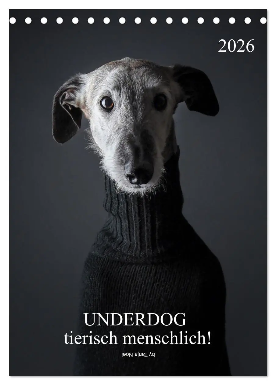 Cover: 9783516369601 | UNDERDOG - Windhundportraits (Tischkalender 2026 DIN A5 hoch),...