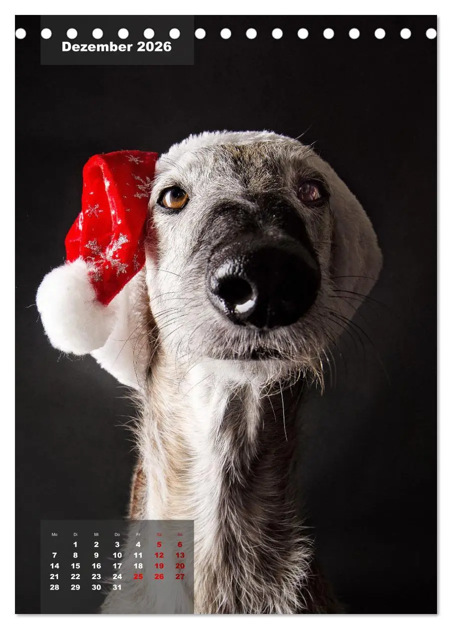 Bild: 9783516369601 | UNDERDOG - Windhundportraits (Tischkalender 2026 DIN A5 hoch),...