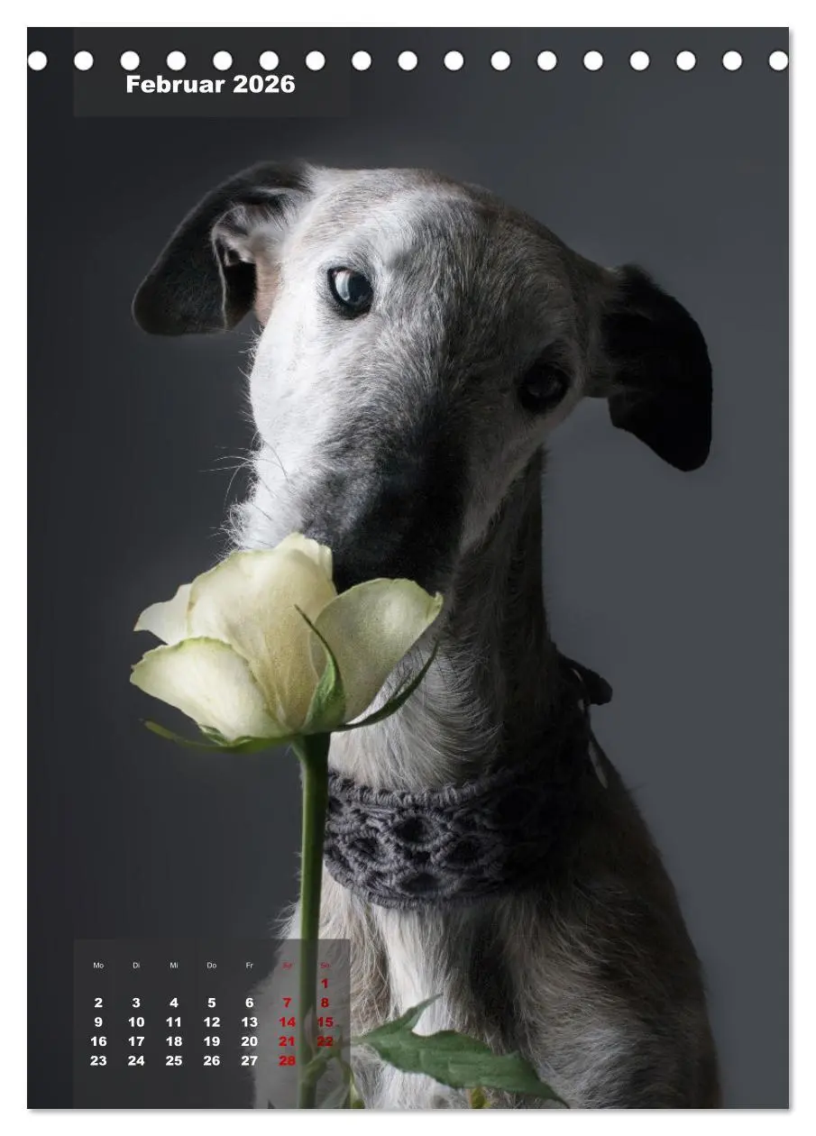 Bild: 9783516369601 | UNDERDOG - Windhundportraits (Tischkalender 2026 DIN A5 hoch),...
