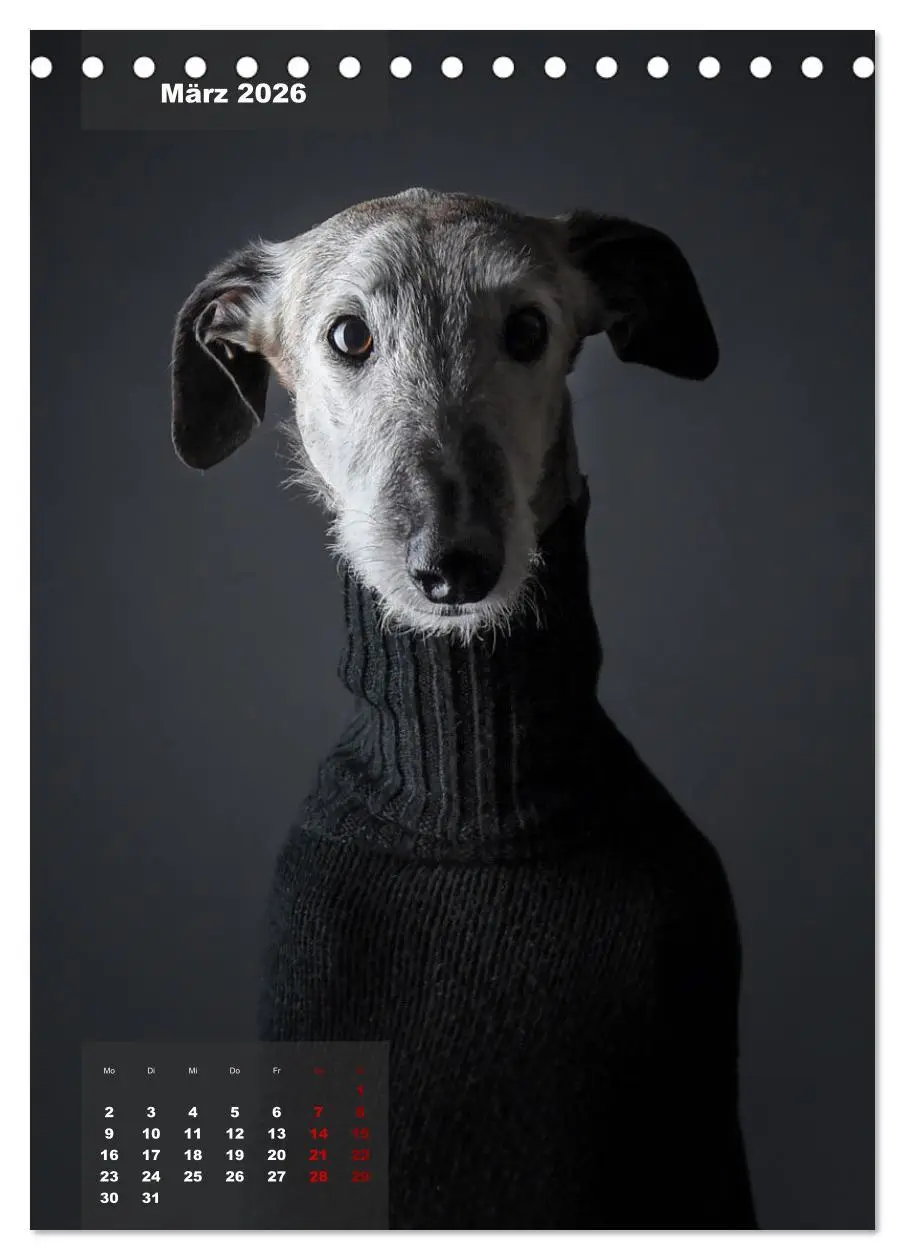 Bild: 9783516369601 | UNDERDOG - Windhundportraits (Tischkalender 2026 DIN A5 hoch),...