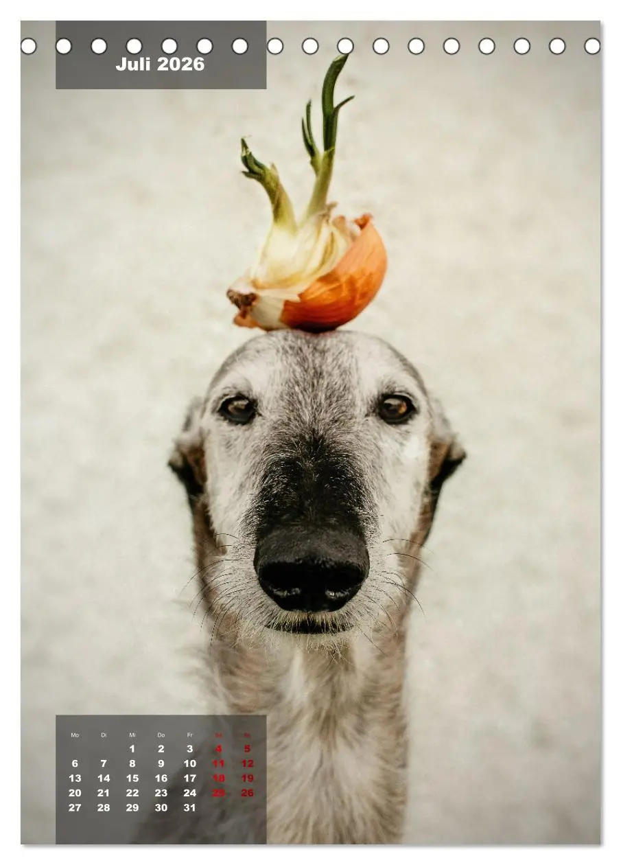 Bild: 9783516369601 | UNDERDOG - Windhundportraits (Tischkalender 2026 DIN A5 hoch),...