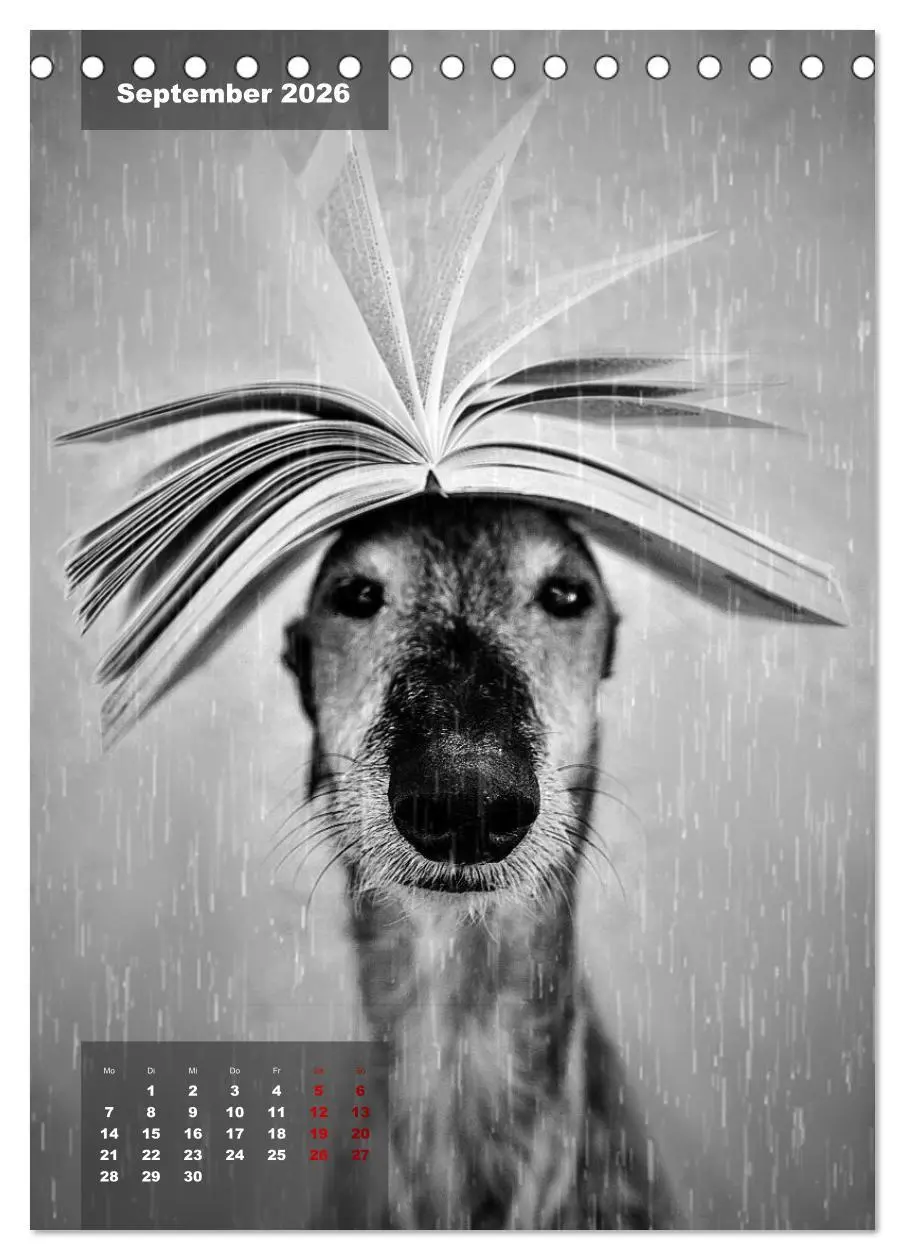 Bild: 9783516369601 | UNDERDOG - Windhundportraits (Tischkalender 2026 DIN A5 hoch),...