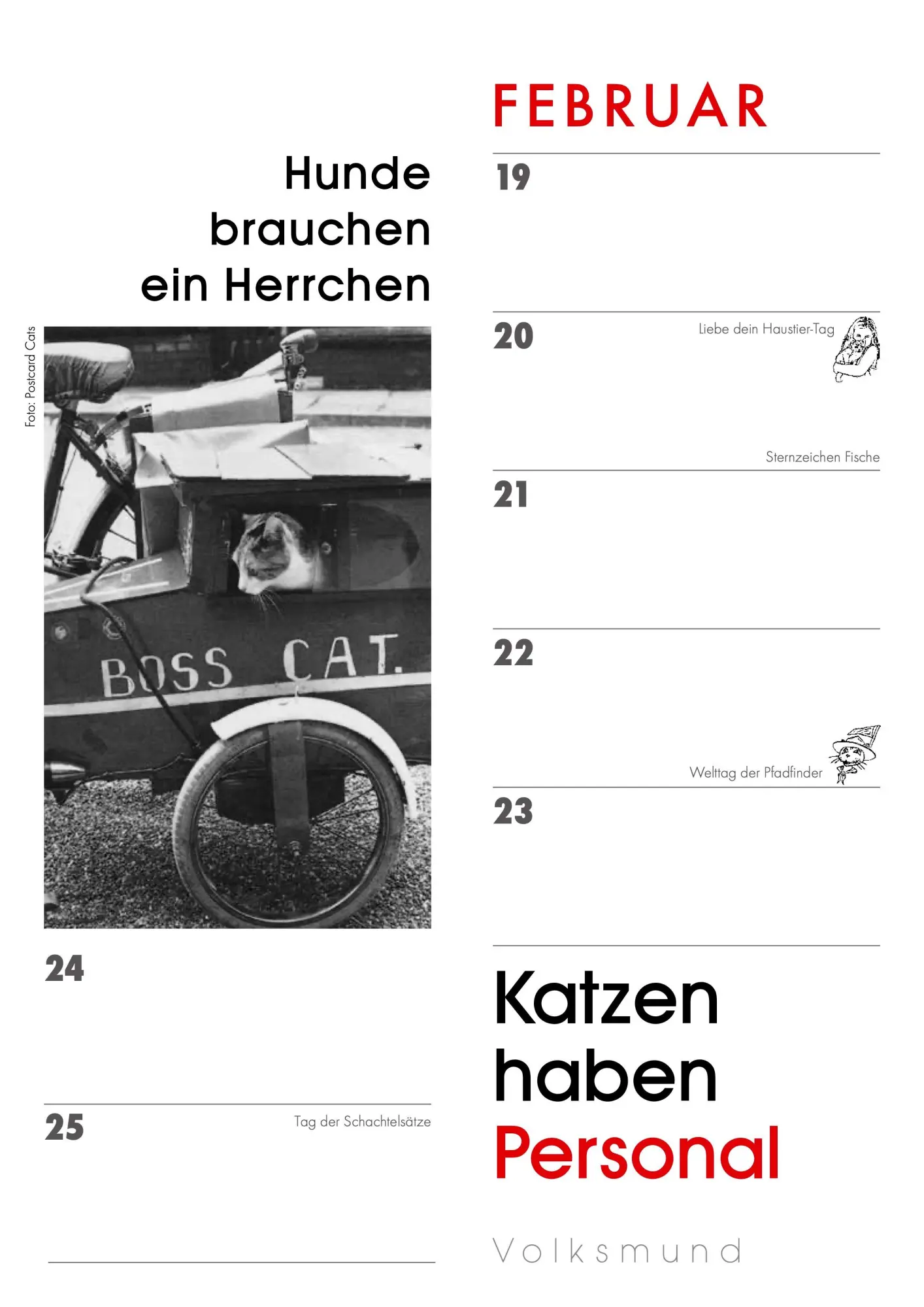 Bild: 9783895619601 | Das Jahr mit Katzen | Julia Bachstein | Kalender | 56 S. | Deutsch