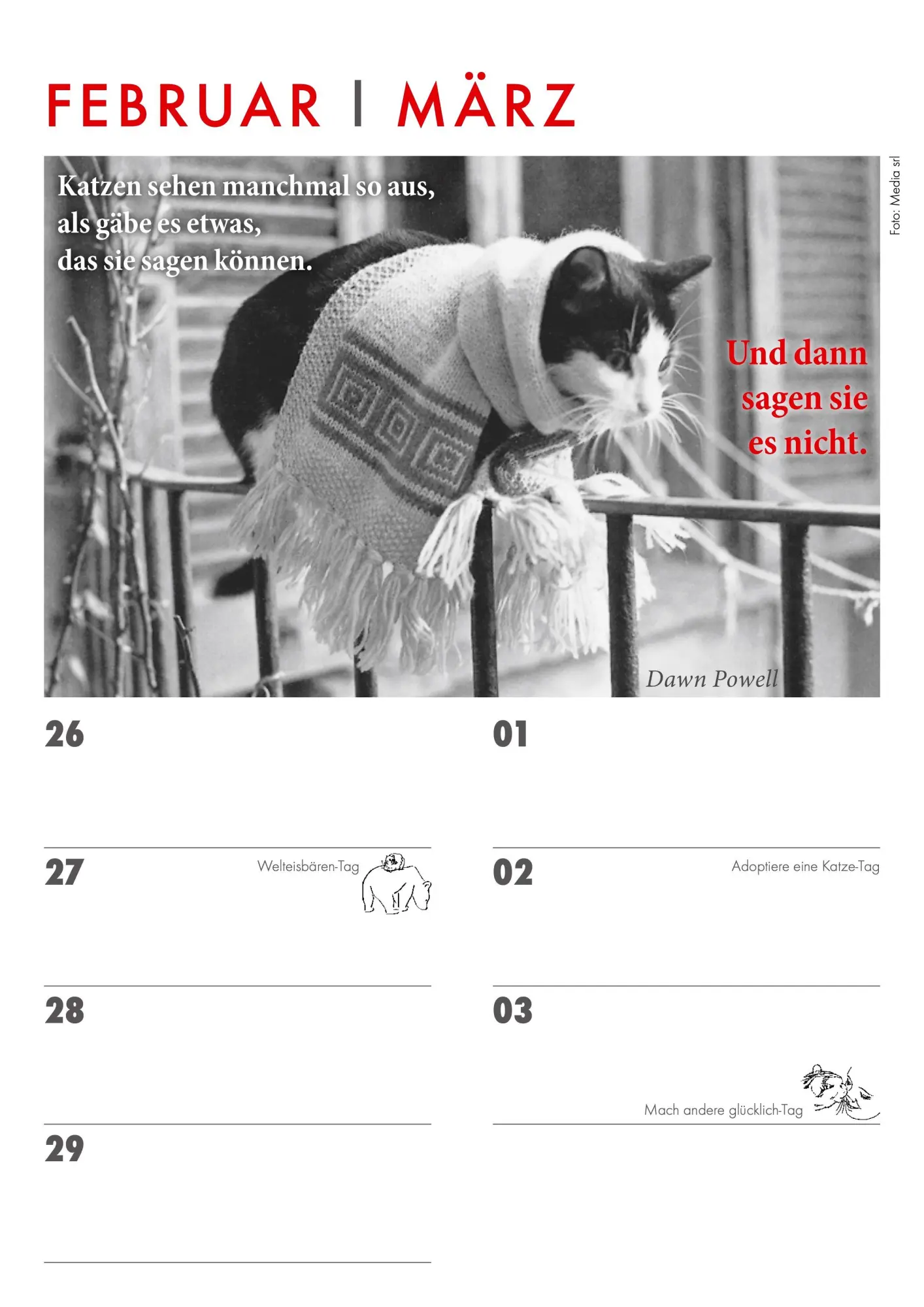 Bild: 9783895619601 | Das Jahr mit Katzen | Julia Bachstein | Kalender | 56 S. | Deutsch