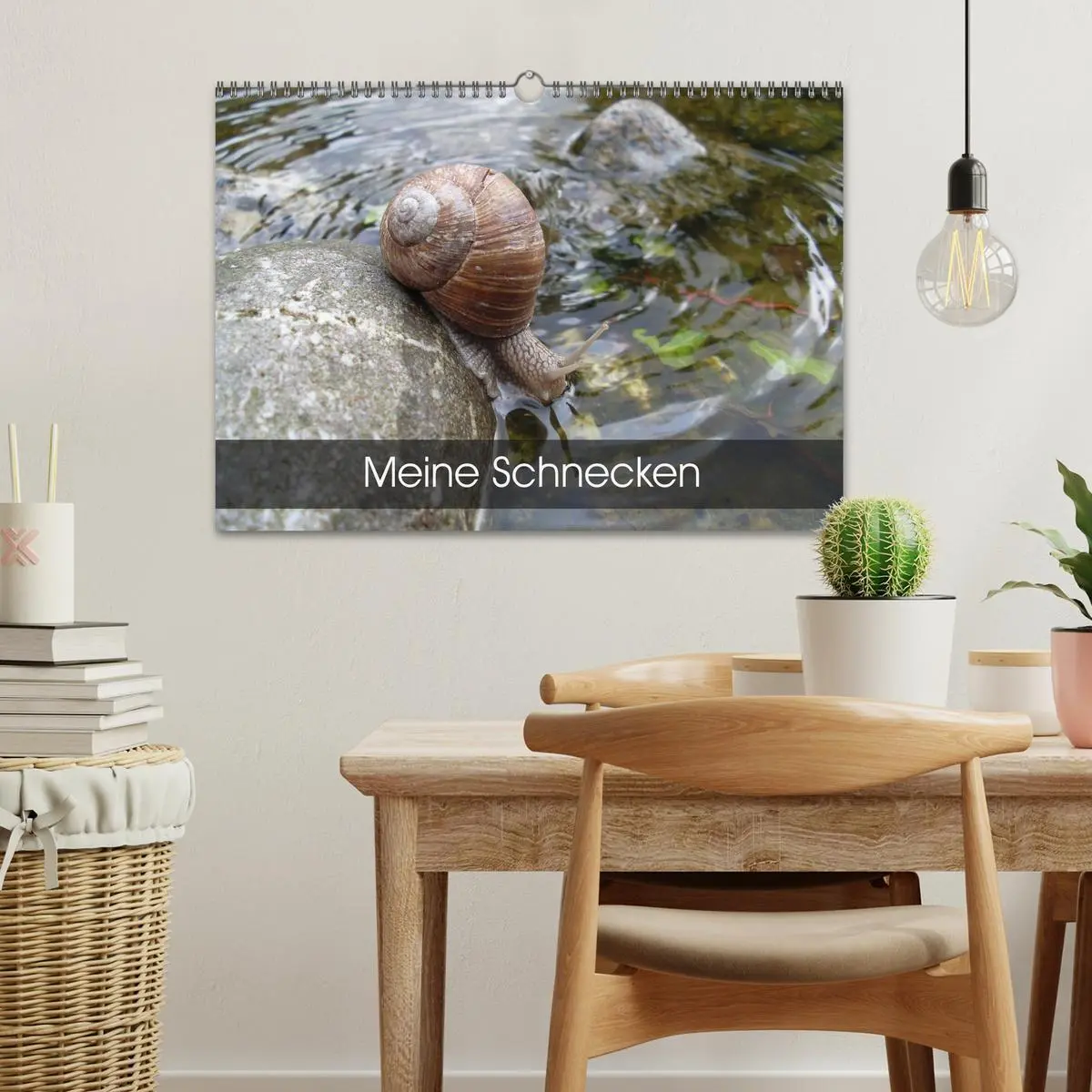 Bild: 9783457959701 | Meine Schnecken (Wandkalender 2026 DIN A3 quer), CALVENDO...