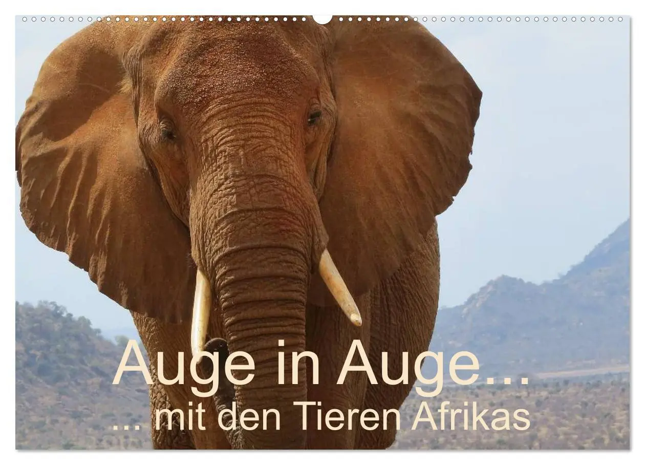 Cover: 9783516119701 | Auge in Auge mit den Tieren Afrikas (Wandkalender 2026 DIN A2...