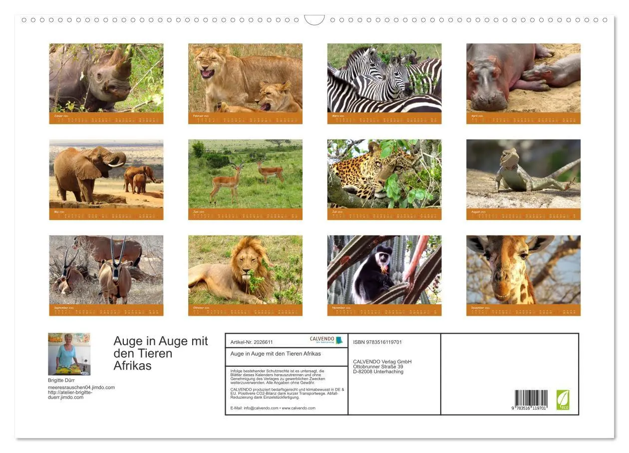 Bild: 9783516119701 | Auge in Auge mit den Tieren Afrikas (Wandkalender 2026 DIN A2...