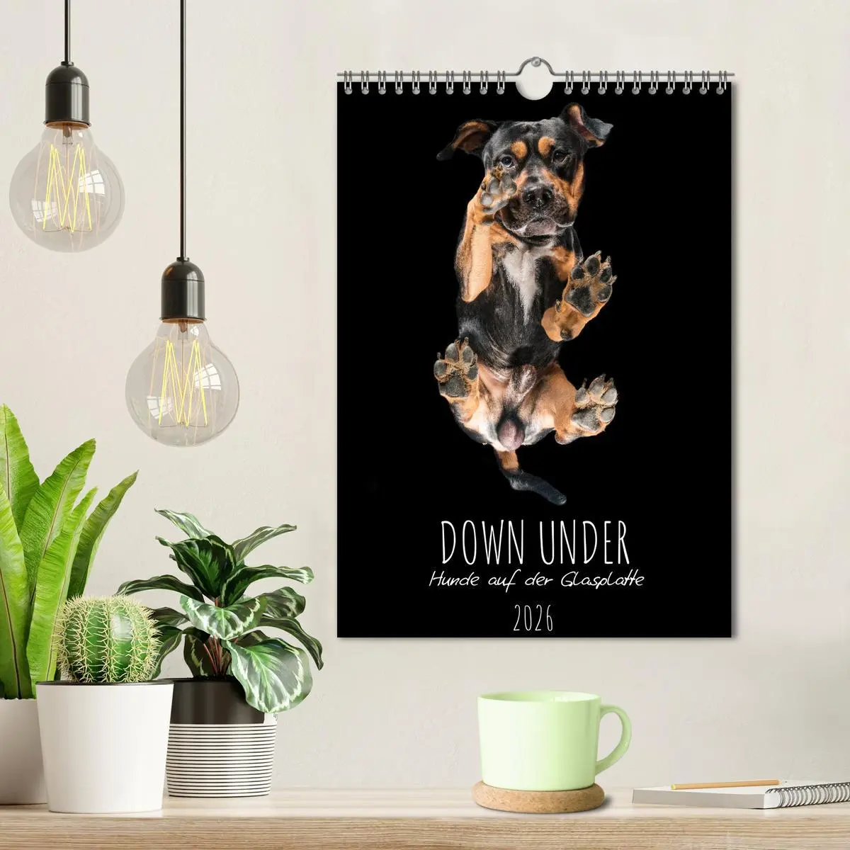 Bild: 9783516359701 | Down Under - Hunde auf der Glasplatte (Wandkalender 2026 DIN A4...