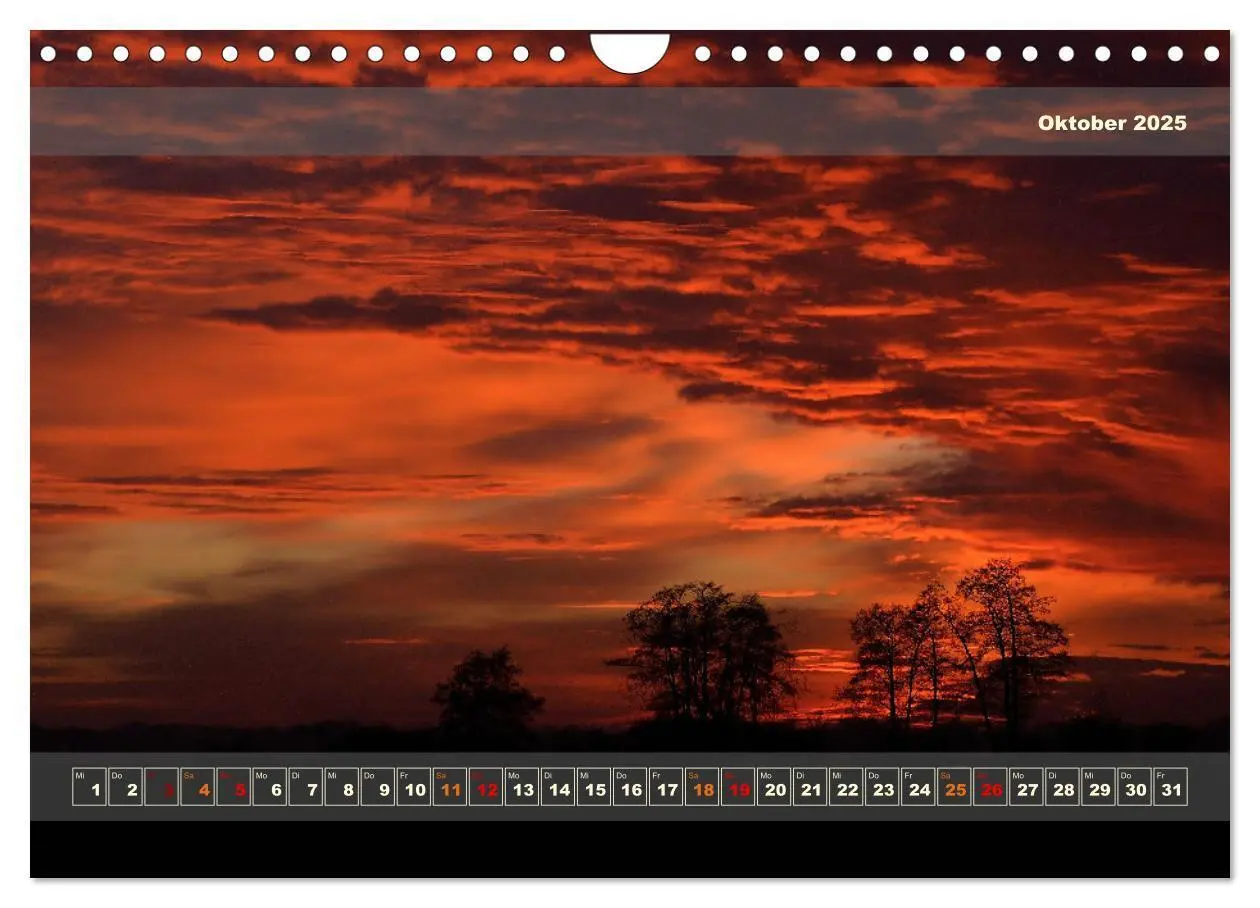Bild: 9783383839801 | Licht im Land (Wandkalender 2025 DIN A4 quer), CALVENDO Monatskalender