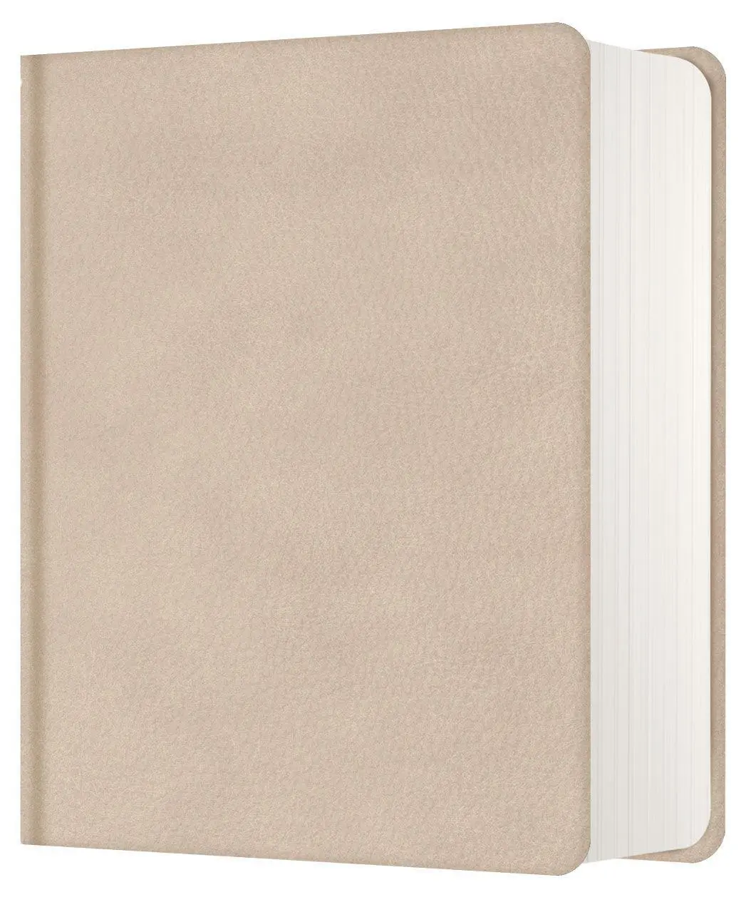 Bild: 9783863539801 | NeÜ bibel.heute LIEBEZURBIBEL | Kunstleder beige | Vanheiden | Buch
