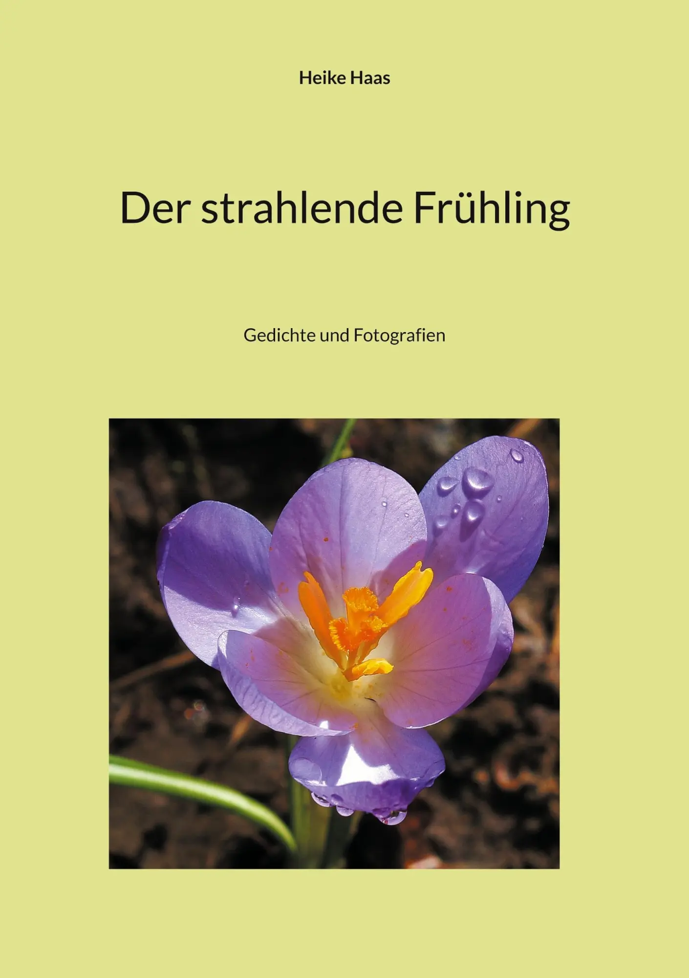 Cover: 9783769339901 | Der strahlende Frühling | Gedichte und Fotografien | Heike Haas | Buch