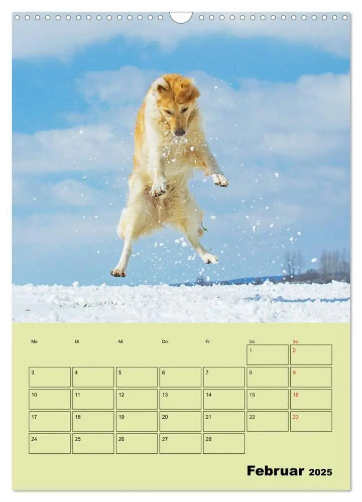 Bild: 9783435960002 | Jahresplaner Golden Retriever (Wandkalender 2025 DIN A3 hoch),...