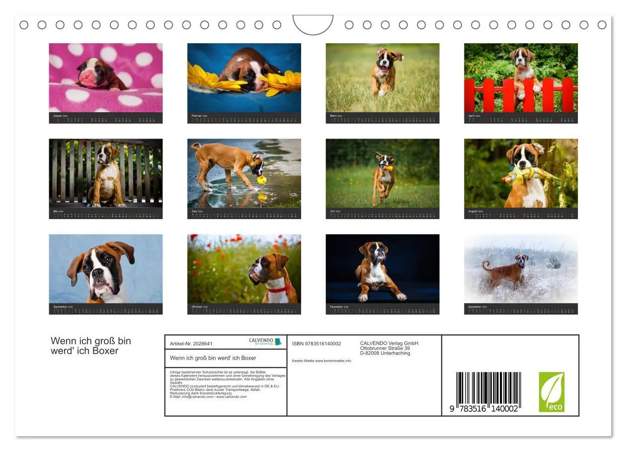 Bild: 9783516140002 | Wenn ich groß bin werd' ich Boxer (Wandkalender 2026 DIN A4 quer),...