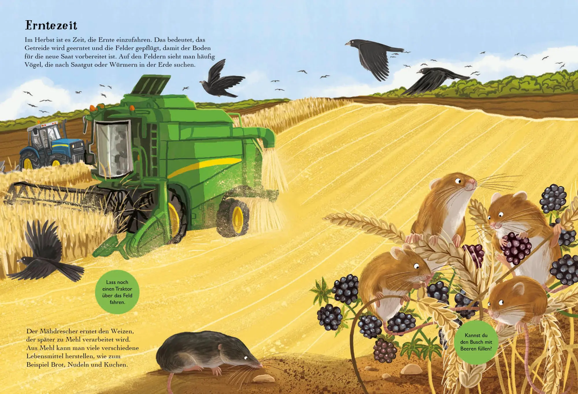 Bild: 9783745900002 | Mein Sach-Stickerbuch Natur - Bauernhoftiere | Nikki Dyson | Buch