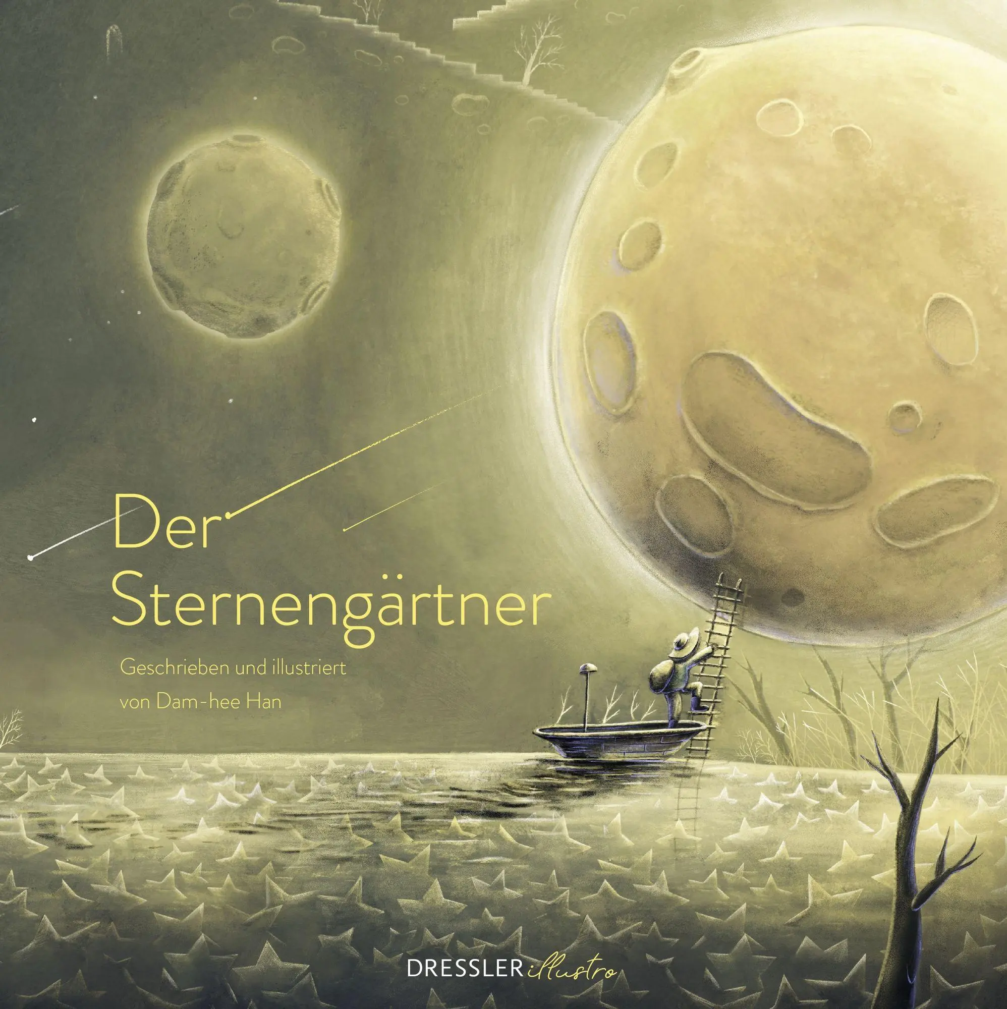 Cover: 9783690380102 | Der Sternengärtner | Dam-Hee Han | Buch | DRESSLER illustro | 48 S.