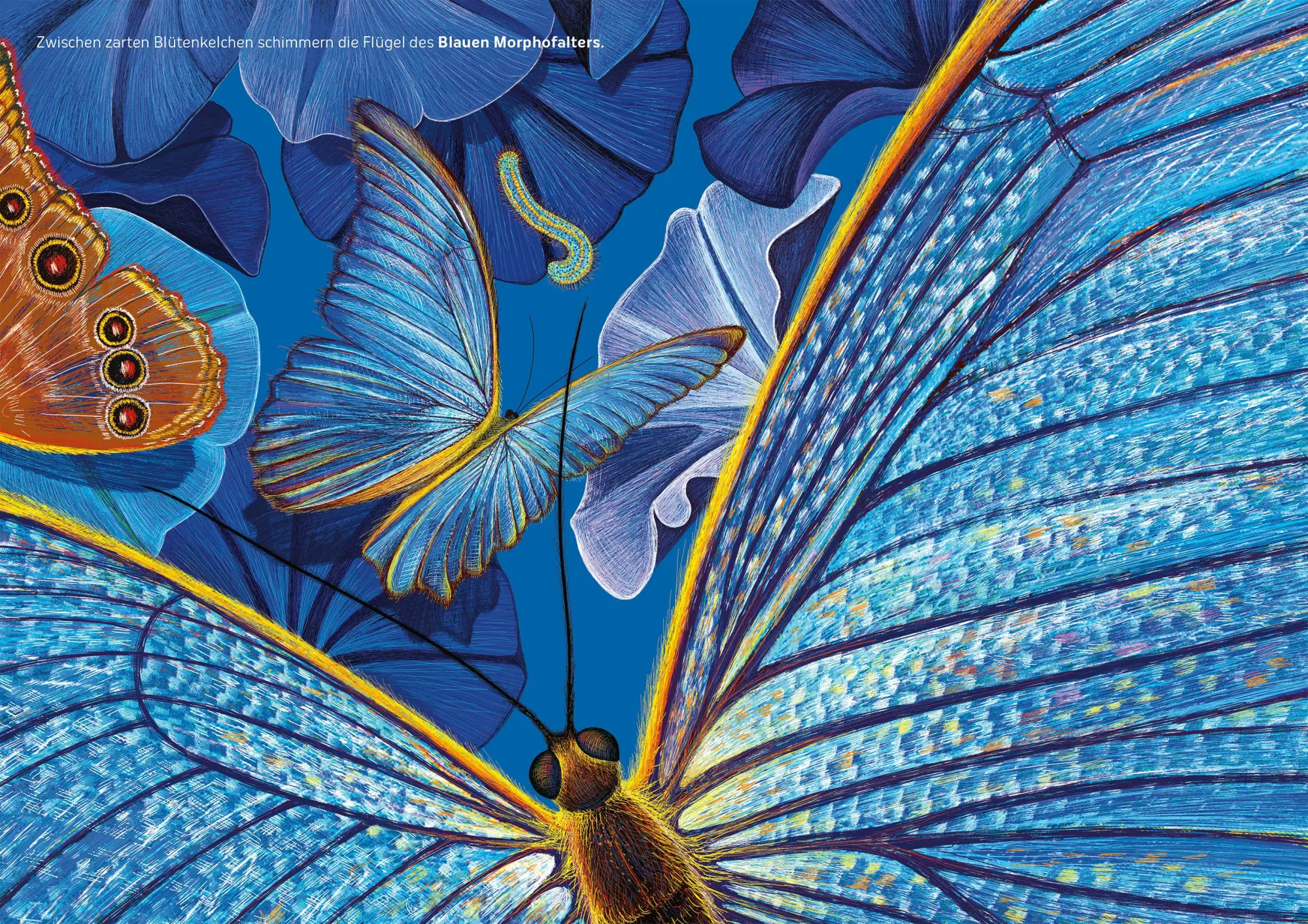 Bild: 9783734860102 | Die Blaue Stunde | Isabelle Simler | Buch | 48 S. | Deutsch | 2020