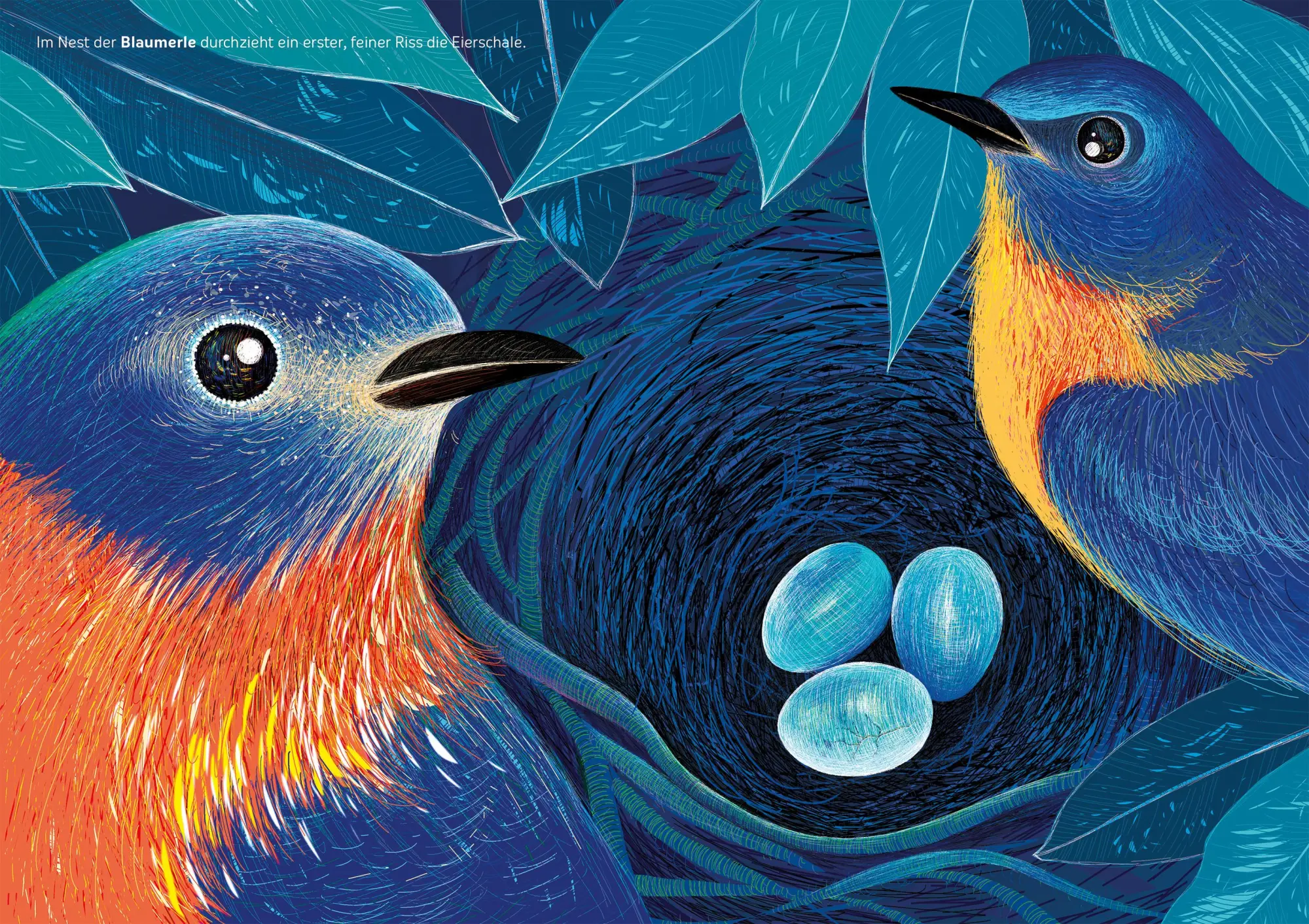 Bild: 9783734860102 | Die Blaue Stunde | Isabelle Simler | Buch | 48 S. | Deutsch | 2020