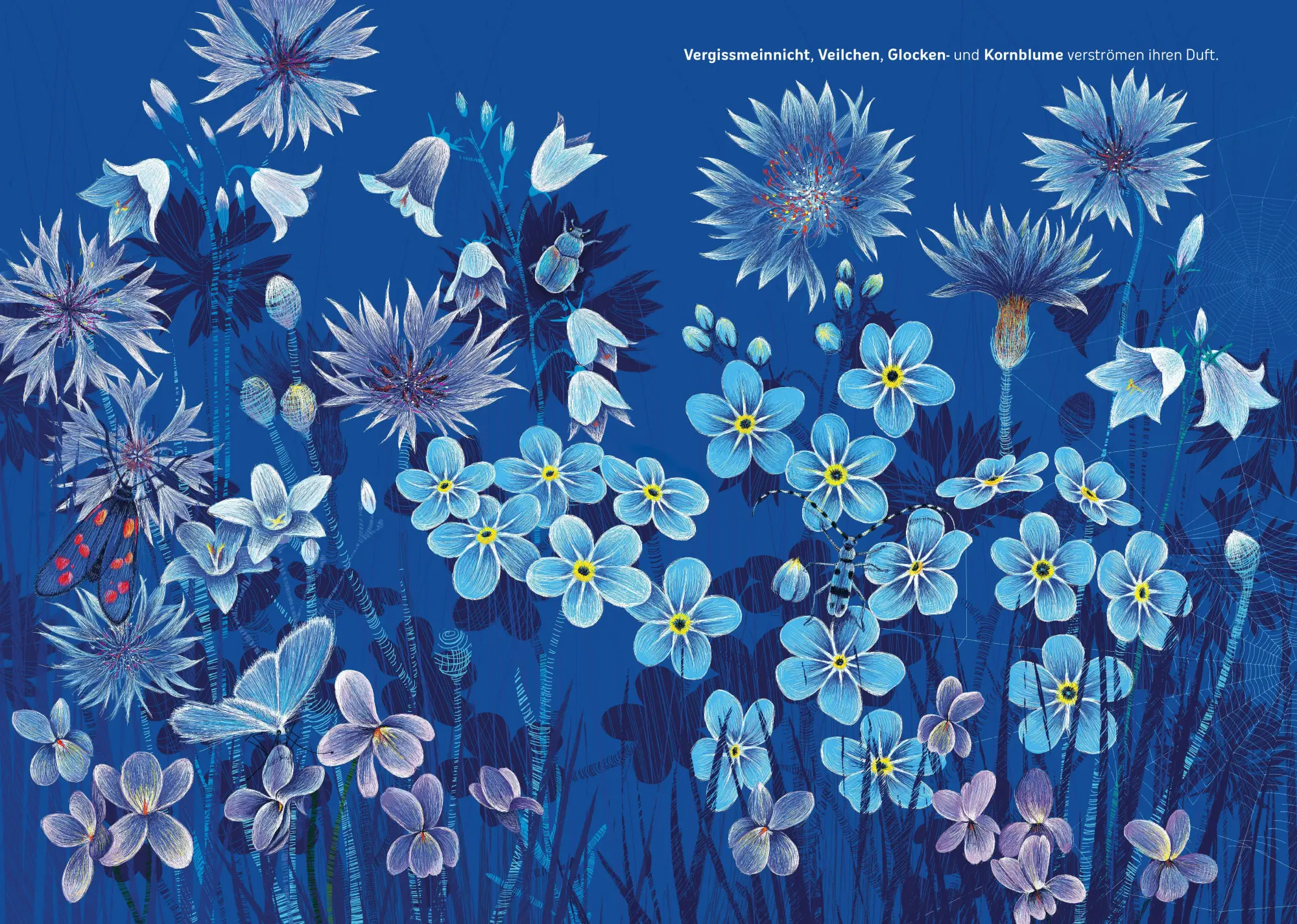 Bild: 9783734860102 | Die Blaue Stunde | Isabelle Simler | Buch | 48 S. | Deutsch | 2020