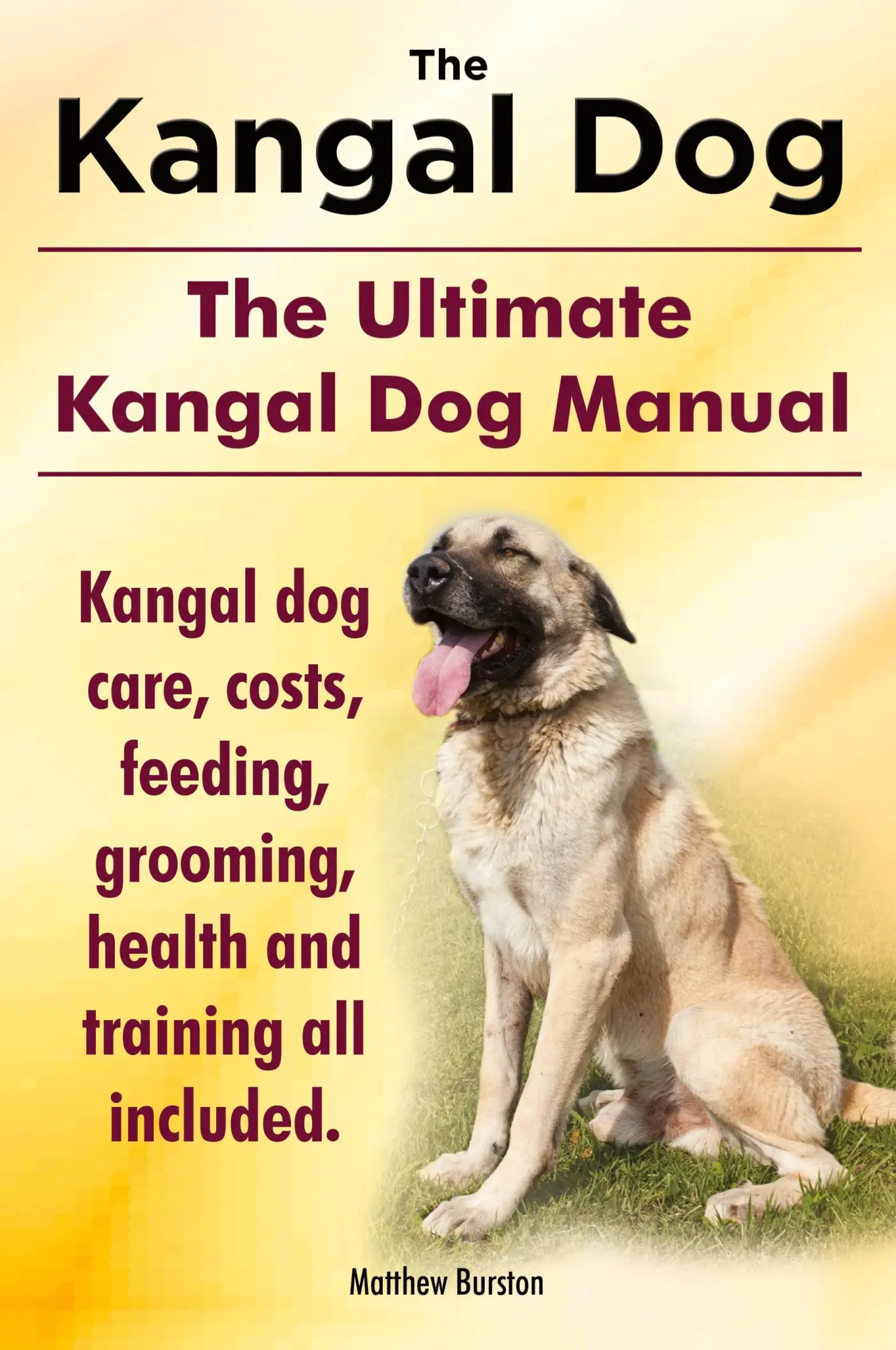 Cover: 9781910410202 | Kangal Dog. the Ultimate Kangal Dog Manual. Kangal Dog Care, Costs,...