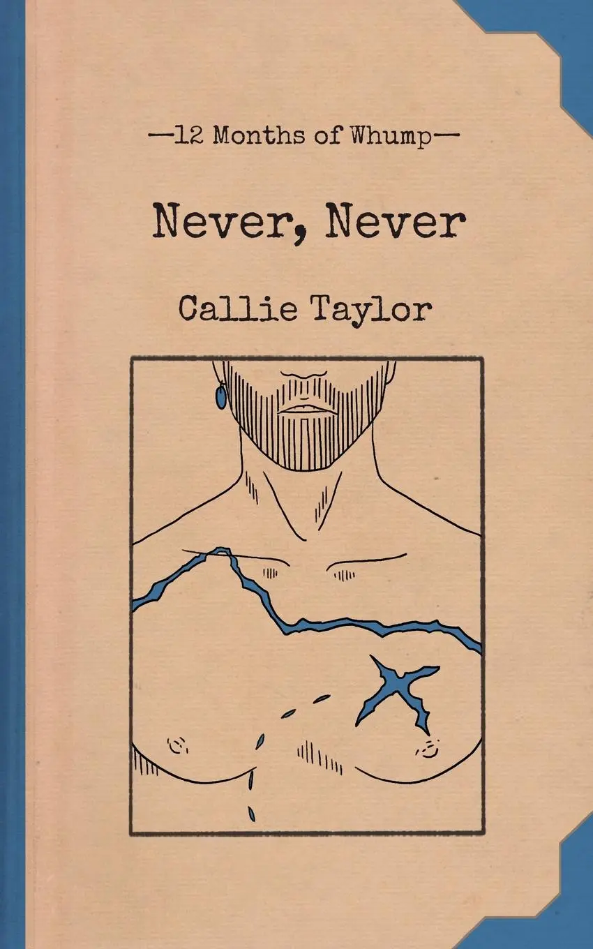 Cover: 9781959330202 | Never, Never | Callie Taylor | Taschenbuch | Englisch | 2025