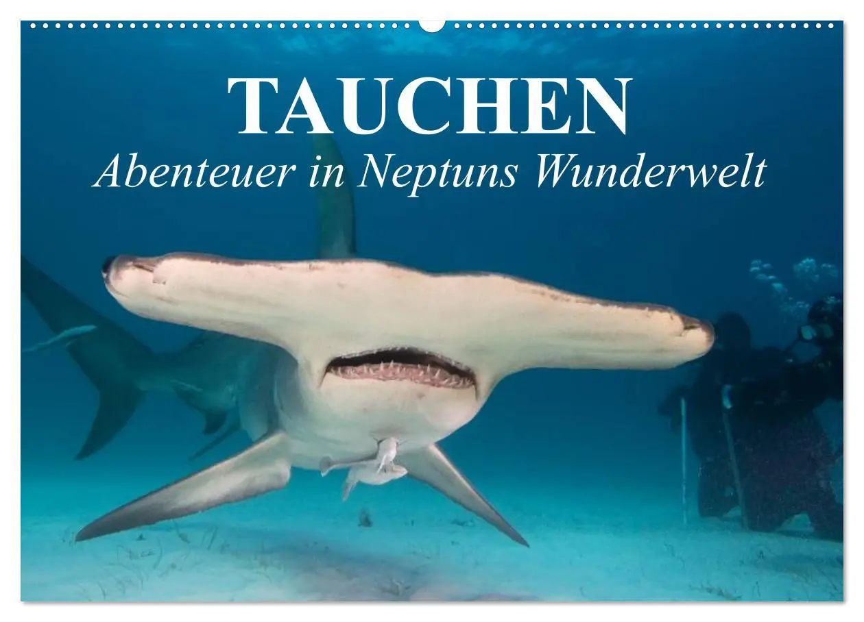 Cover: 9783516120202 | Tauchen - Abenteuer in Neptuns Wunderwelt (Wandkalender 2026 DIN A2...
