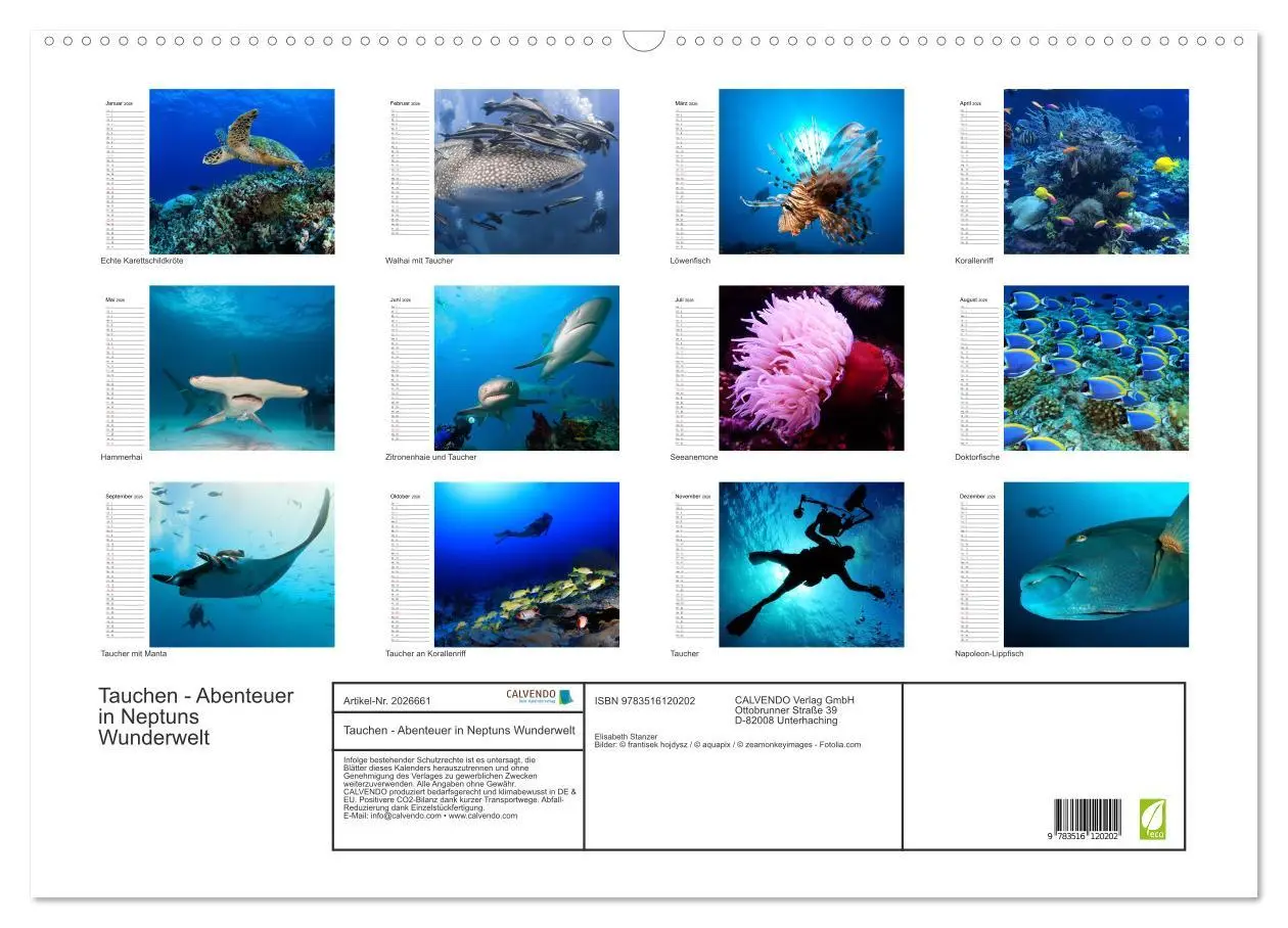 Bild: 9783516120202 | Tauchen - Abenteuer in Neptuns Wunderwelt (Wandkalender 2026 DIN A2...