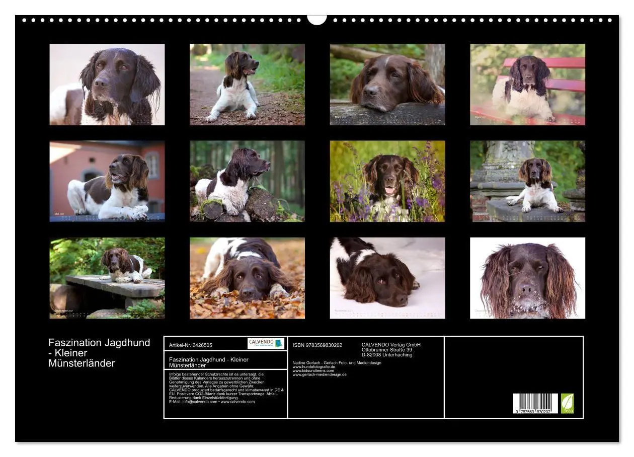 Bild: 9783569830202 | Faszination Jagdhund - Kleiner Münsterländer (Wandkalender 2027 DIN...