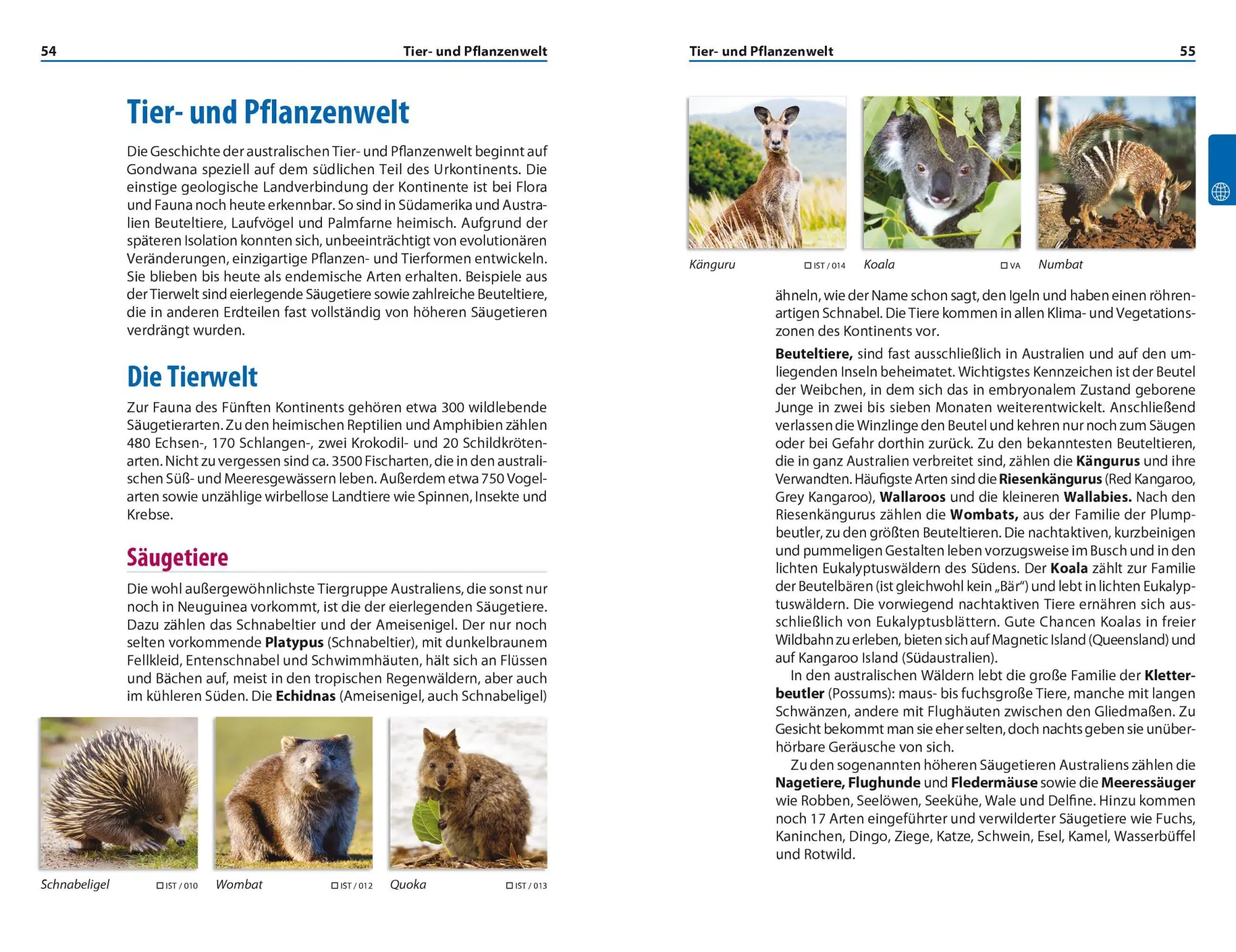 Bild: 9783689860202 | Reise Know-How Reiseführer Australien kompakt | Veronika Pavel | Buch