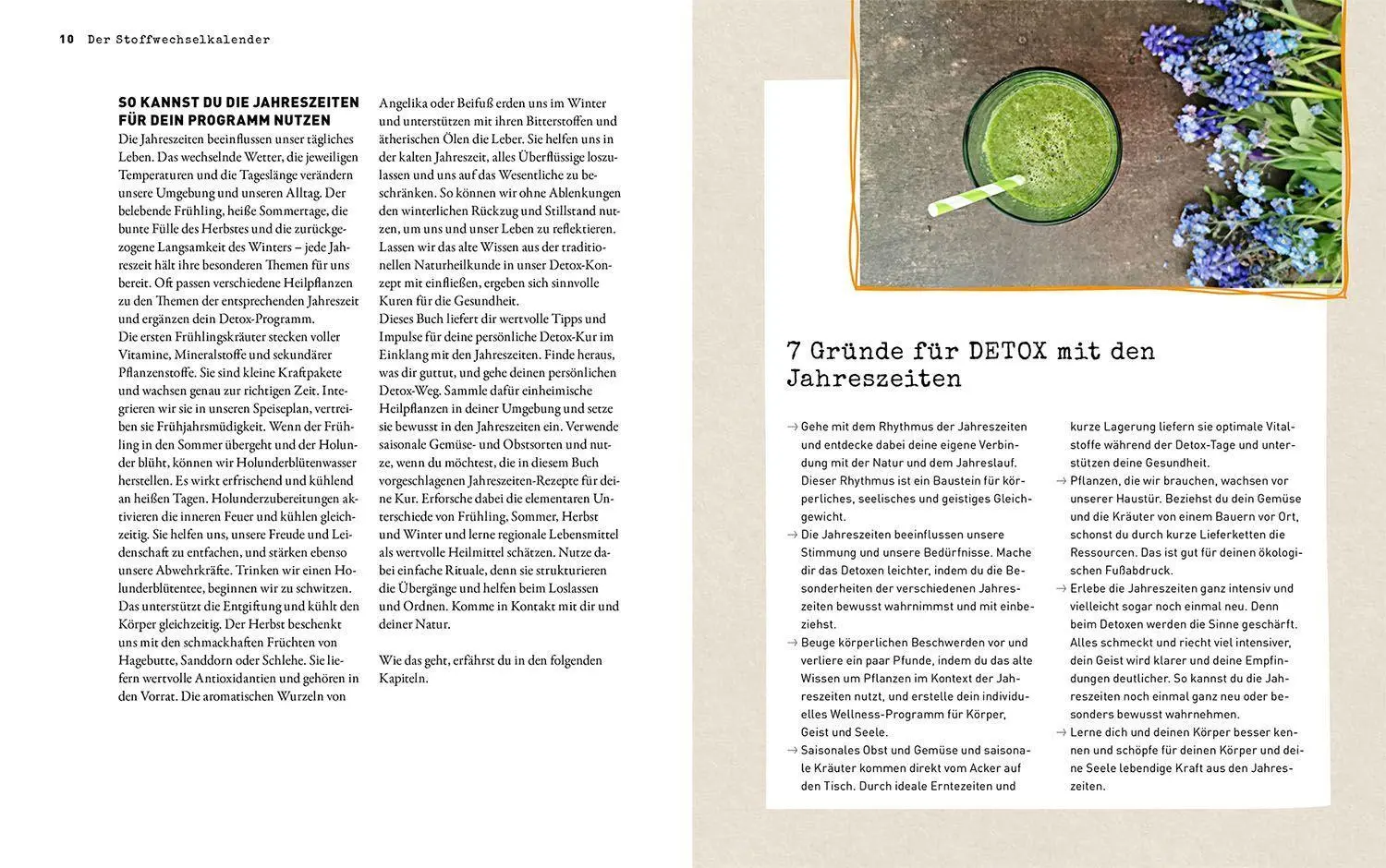 Bild: 9783968590202 | Der Stoffwechsel-Kalender | Susanne Hackel | Taschenbuch | 144 S.