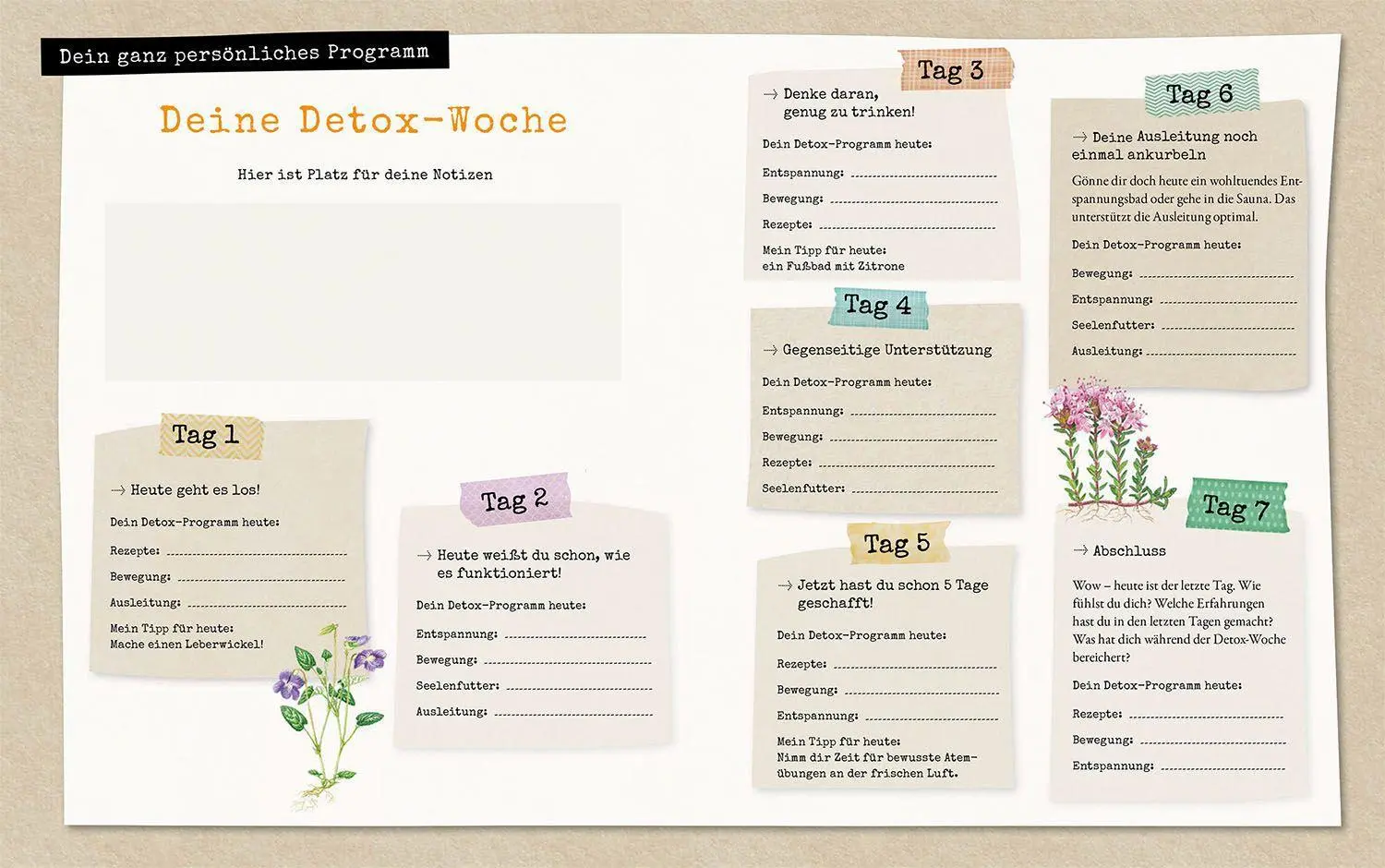 Bild: 9783968590202 | Der Stoffwechsel-Kalender | Susanne Hackel | Taschenbuch | 144 S.
