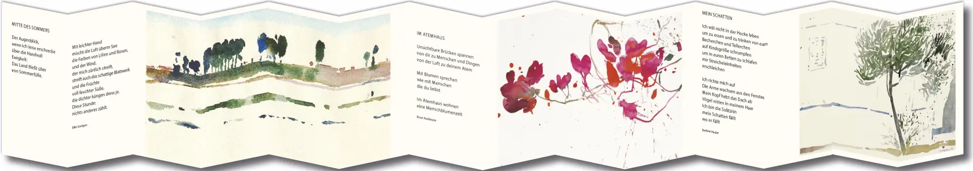 Bild: 9783985490202 | Helle Tage | Oskar Koller | Buch | 28 S. | Deutsch | 2024