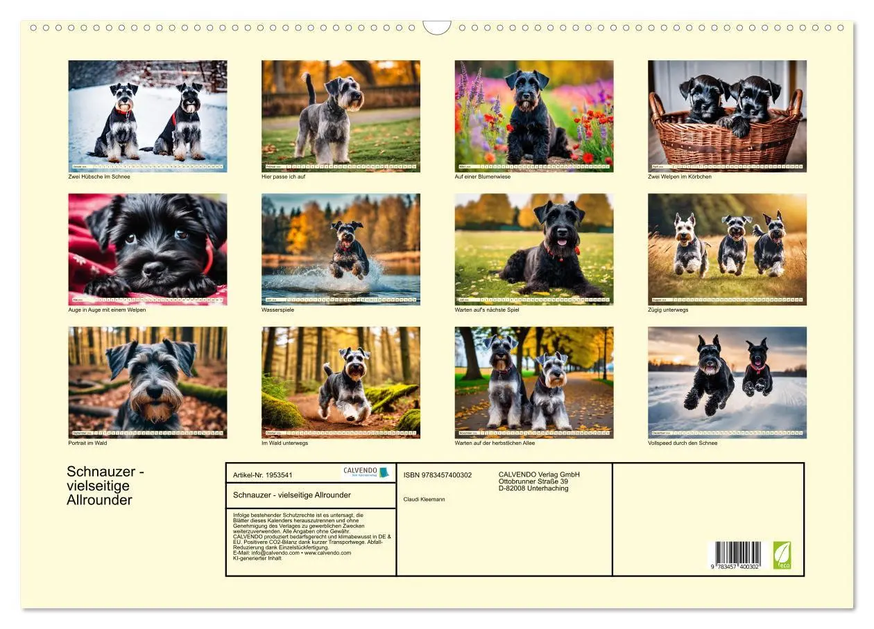 Bild: 9783457400302 | Schnauzer - vielseitige Allrounder (Wandkalender 2026 DIN A2 quer),...