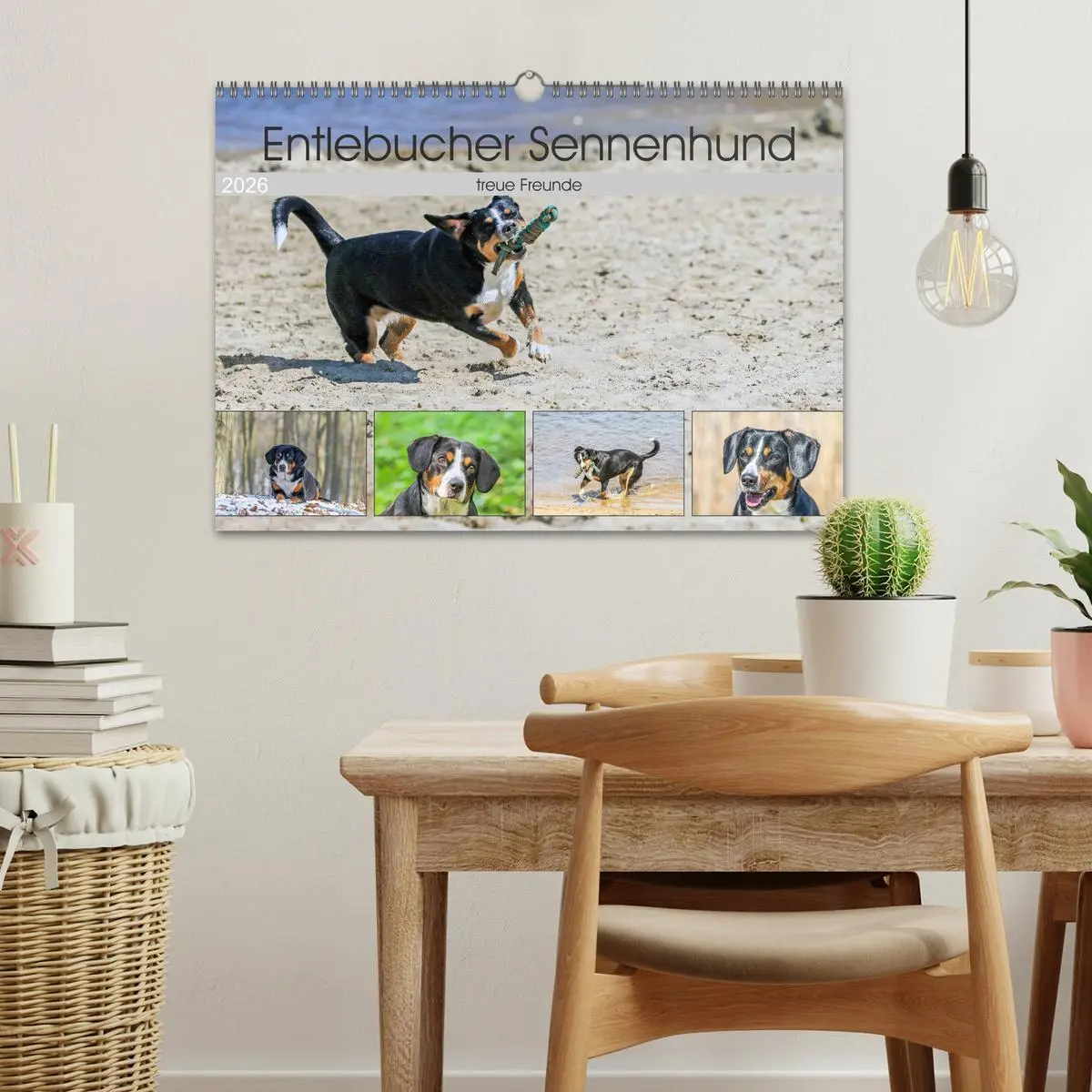 Bild: 9783516040302 | Entlebucher Sennenhund - treue Freunde (Wandkalender 2026 DIN A3...