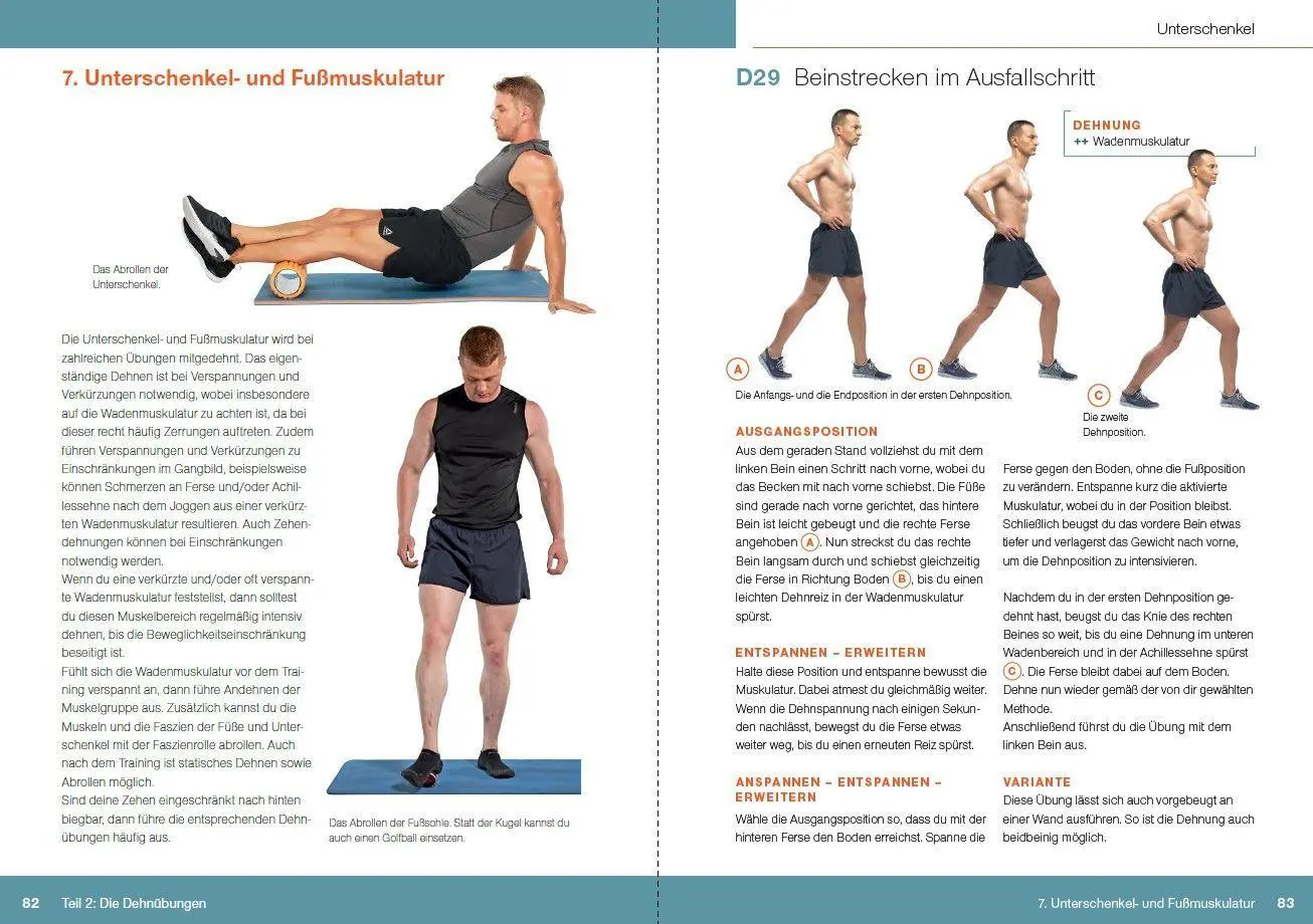 Bild: 9783613510302 | Dehnen für Kampfsportler | Christoph Delp | Taschenbuch | 160 S.