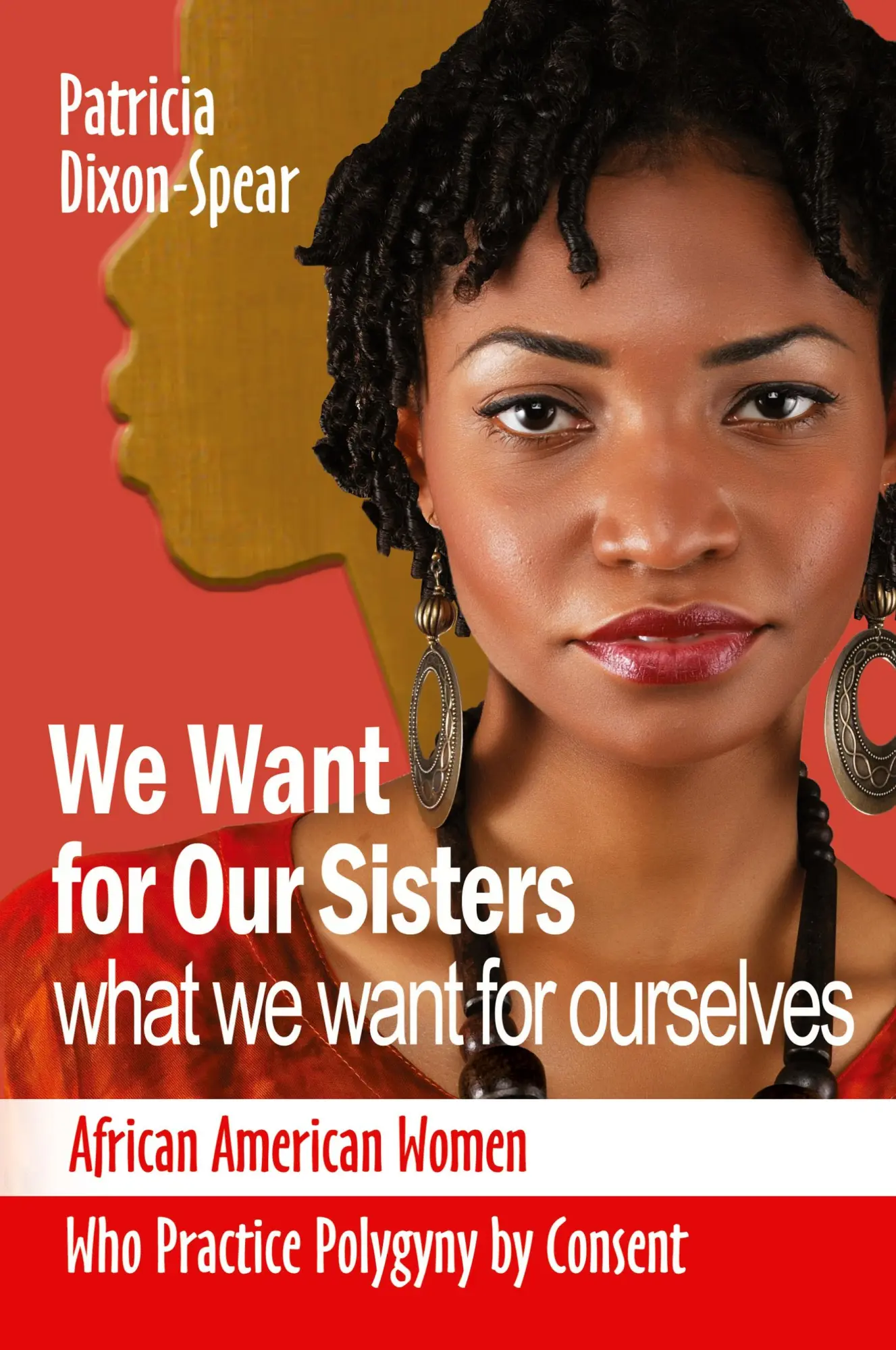 Cover: 9781580730402 | We Want for Our Sisters What We Want for Ourselves | Patricia Dixon