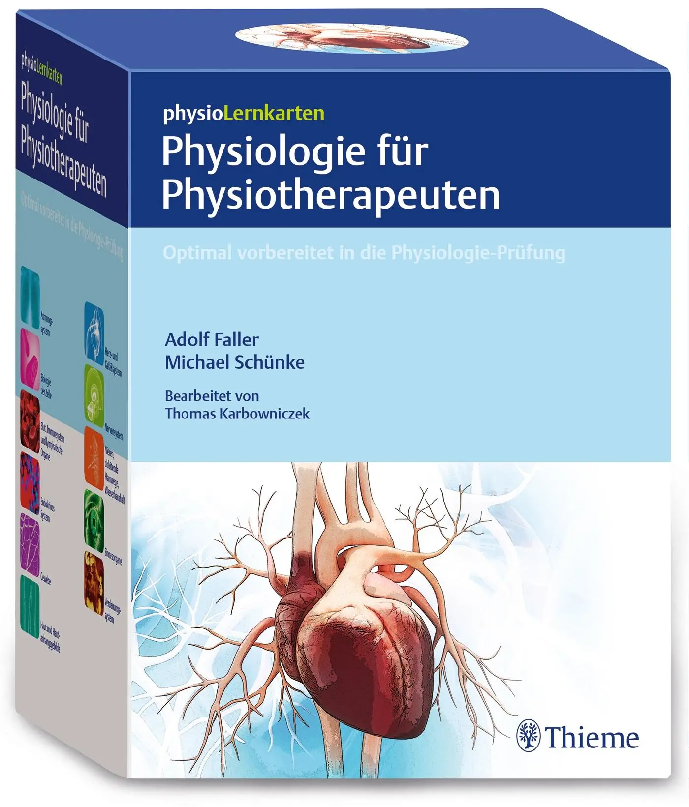 Cover: 9783132420502 | physioLernkarten - Physiologie für Physiotherapeuten | Box | 415 S.