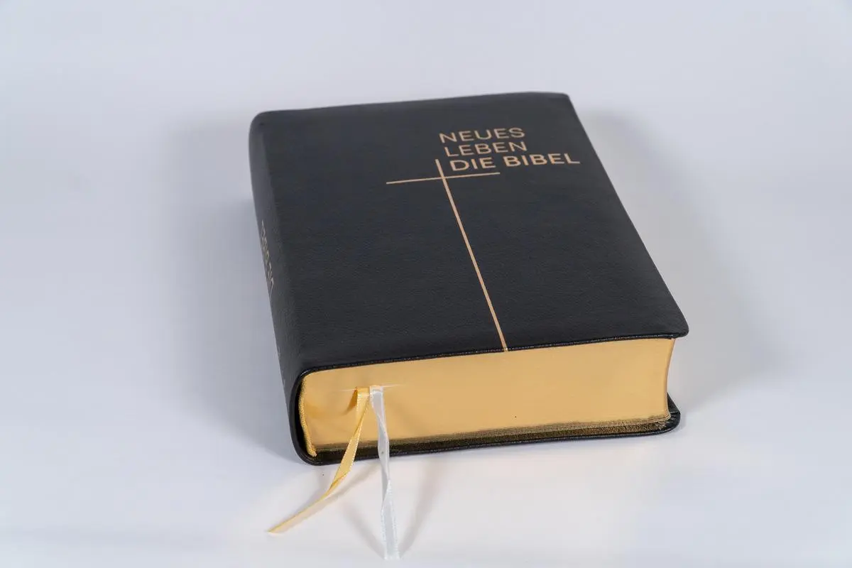 Bild: 9783417020502 | Neues Leben. Die Bibel, Standardausgabe, Leder mit Goldschnitt | Buch