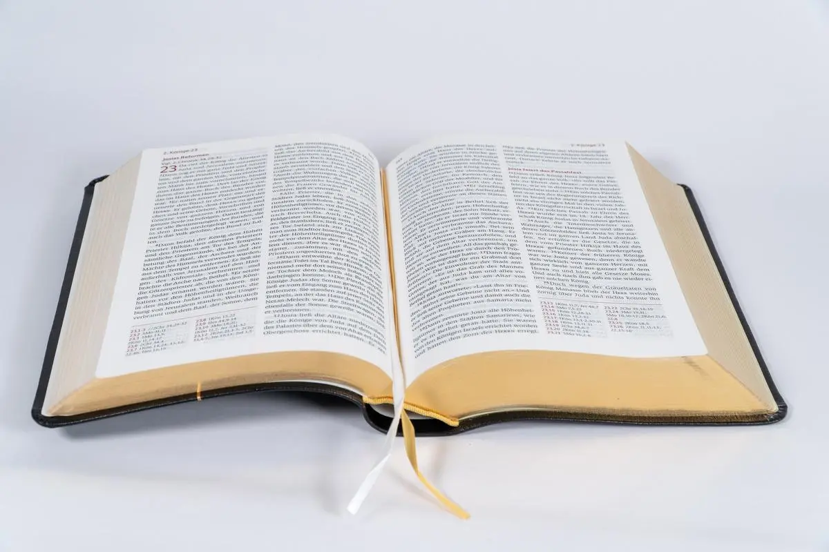 Bild: 9783417020502 | Neues Leben. Die Bibel, Standardausgabe, Leder mit Goldschnitt | Buch