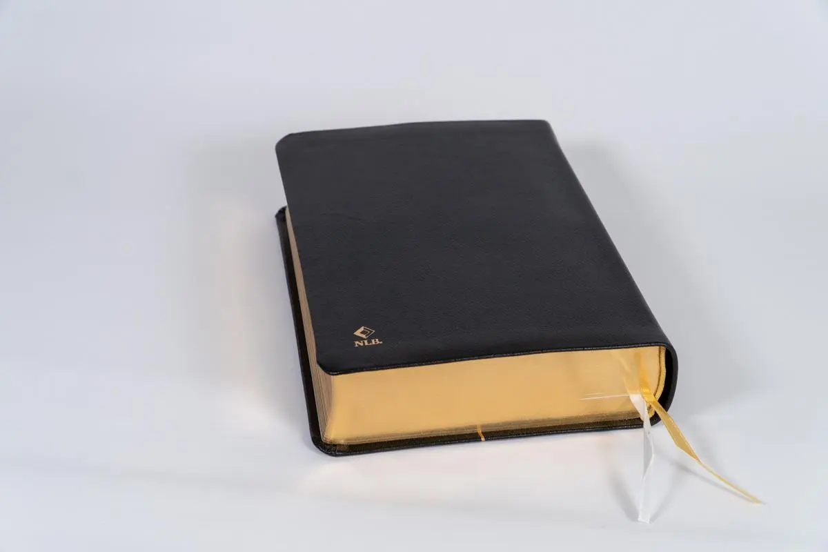 Bild: 9783417020502 | Neues Leben. Die Bibel, Standardausgabe, Leder mit Goldschnitt | Buch