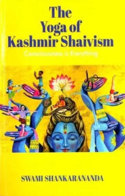 Cover: 9789392510502 | Consciousness is Everything | Swami Shankarananda | Taschenbuch | 2022
