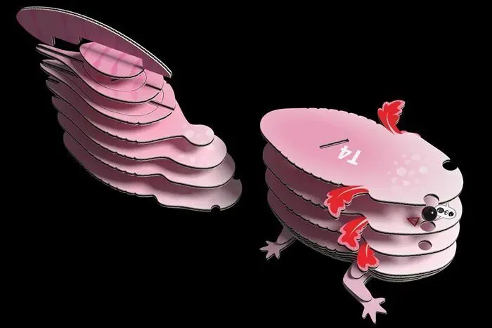 Cover: 9421036940602 | EUGY - 3D Bastelset Axolotl | Kit (Bastelset) | In Karton | 650139