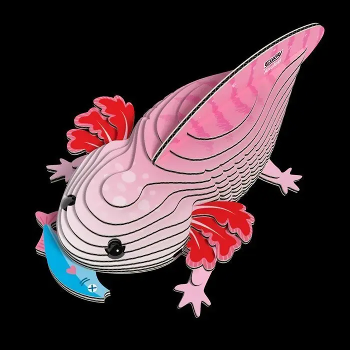 Bild: 9421036940602 | EUGY - 3D Bastelset Axolotl | Kit (Bastelset) | In Karton | 650139