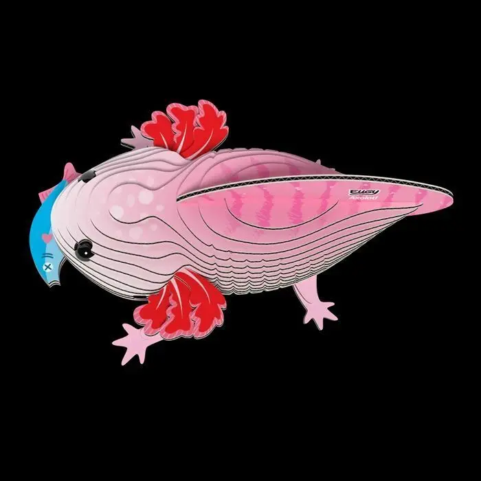 Bild: 9421036940602 | EUGY - 3D Bastelset Axolotl | Kit (Bastelset) | In Karton | 650139